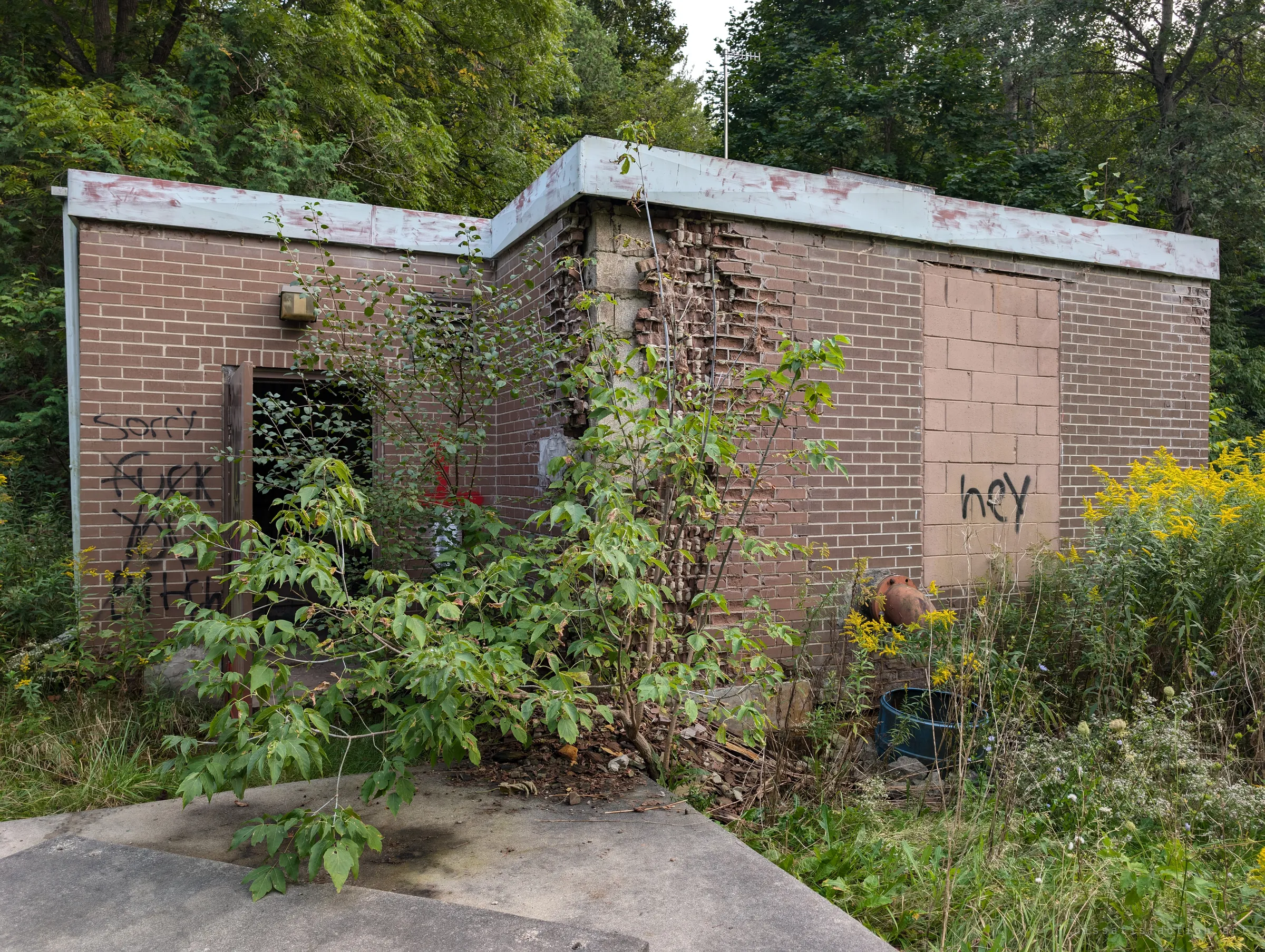 A small flat-roofed brick pump house swallowed by saplings and goldenrod, its door hanging open and its walls tagged with graffiti. The crumbling corner brickwork shows how far the building has been left to rot.