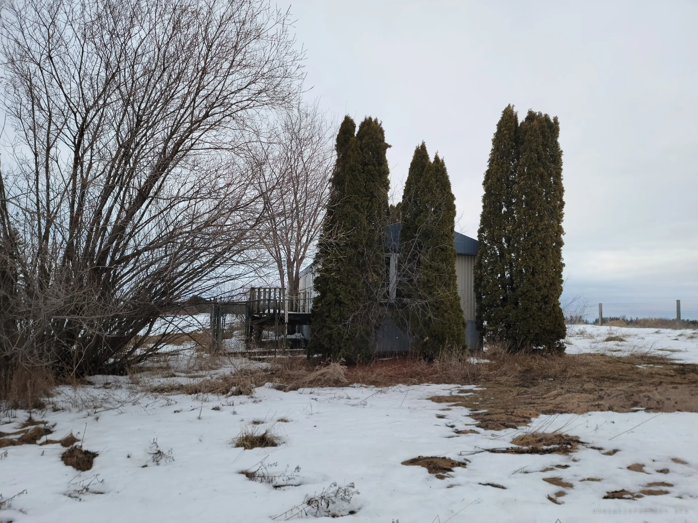 A snow-patched yard with tall cedars screening the end of a mobile home and its fenced wooden deck. The trees half hide the trailer, setting the tone of a place slowly being swallowed.