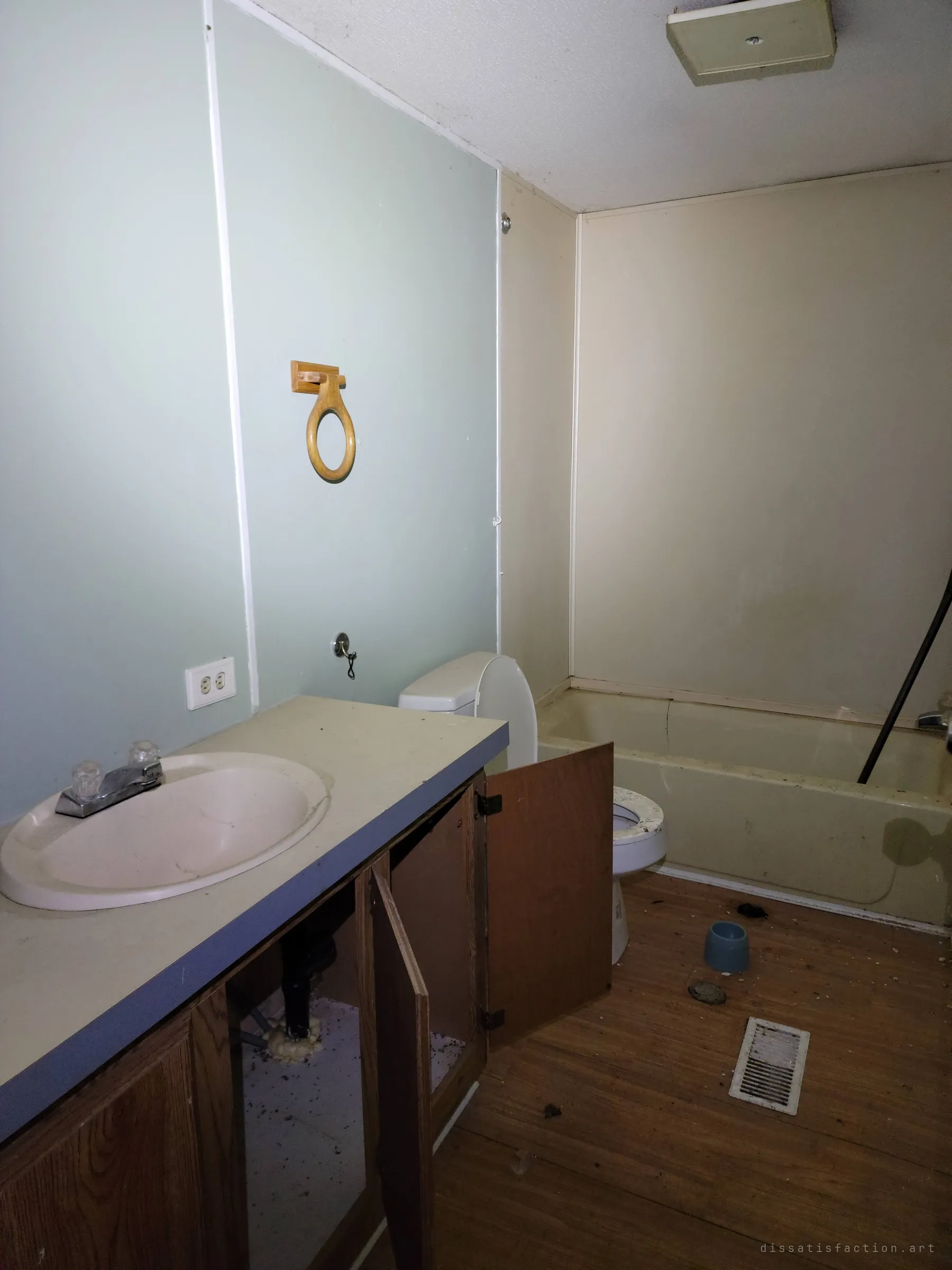 A second bathroom with pale green walls, a vanity with its cabinet doors open, a toilet and tub, and a pet bowl left on the floor. A small reminder of the household that lived here.