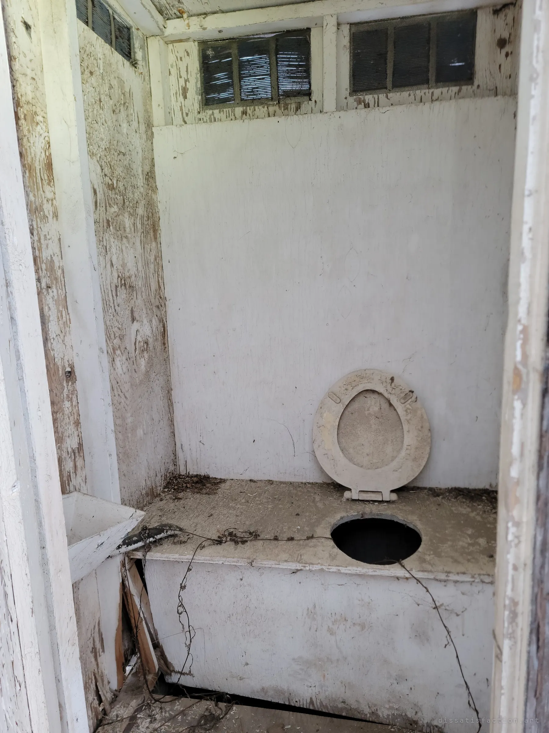 Inside a peeling outhouse, a toilet seat leans against the wall above a bare hole in the bench. Vines creep in across the dusty boards.
