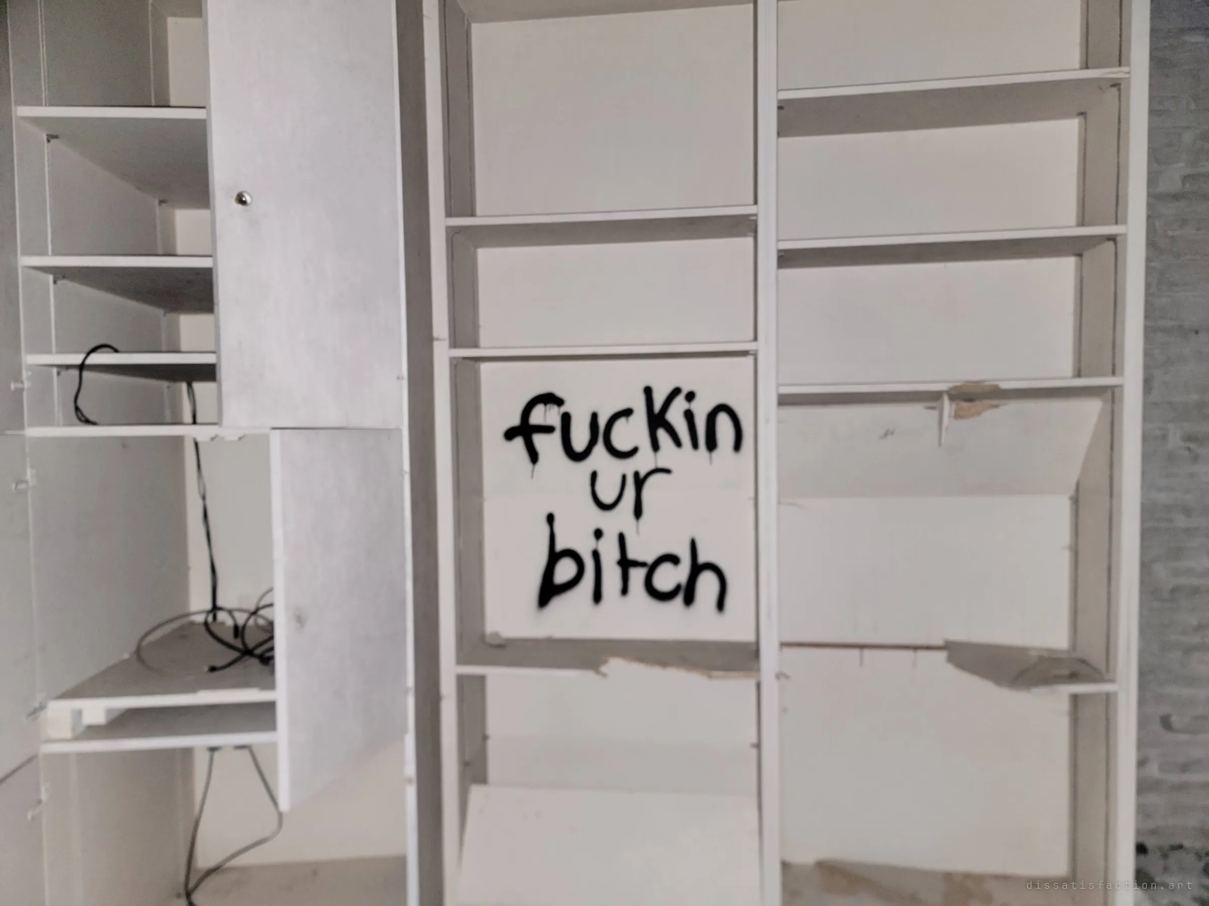 Emptied white built-in shelves, doors torn loose and cables dangling, with a crude insult sprayed across the middle bay.