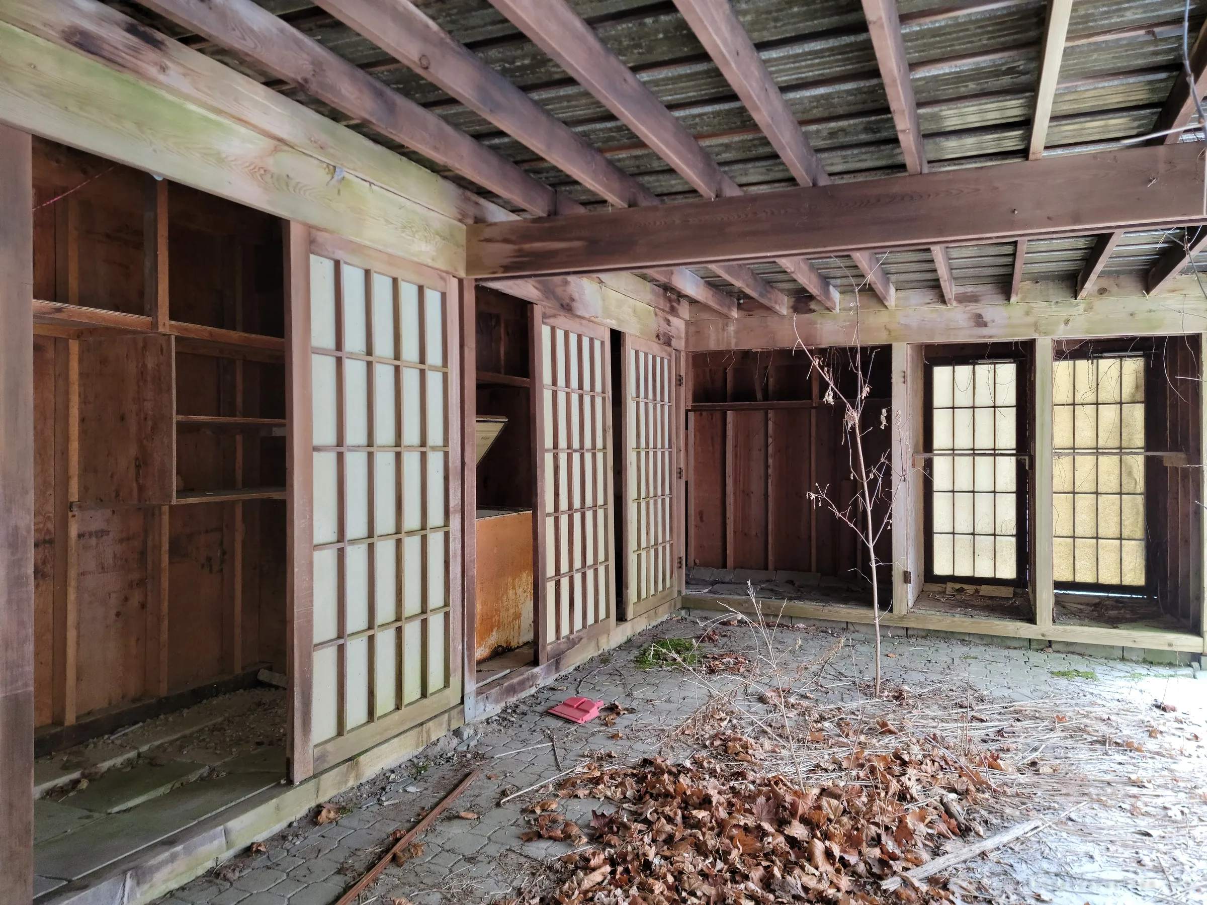 The sheltered courtyard under open joists: lattice screens, empty built-in shelves and a drift of dead leaves where a sapling has taken root.