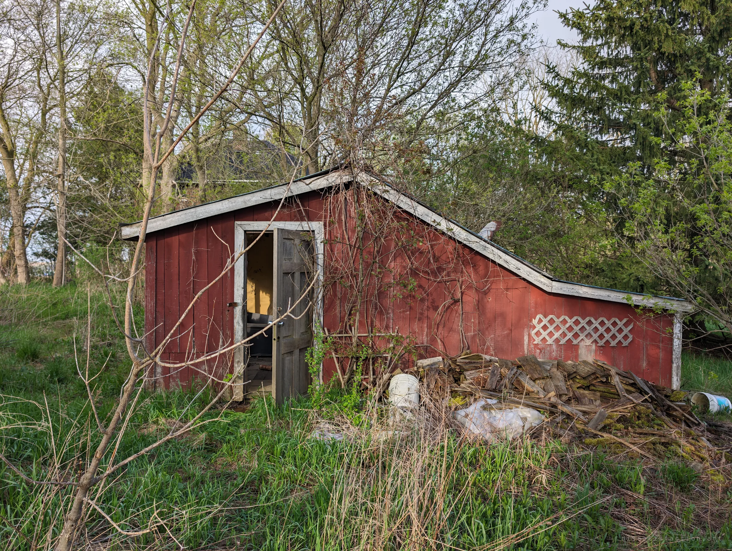 A weathered red shed with white trim and a half-open door sits in tall spring grass, a pile of rotting boards stacked against its side. Bare trees and a dark roofline behind hint at the house it once served.