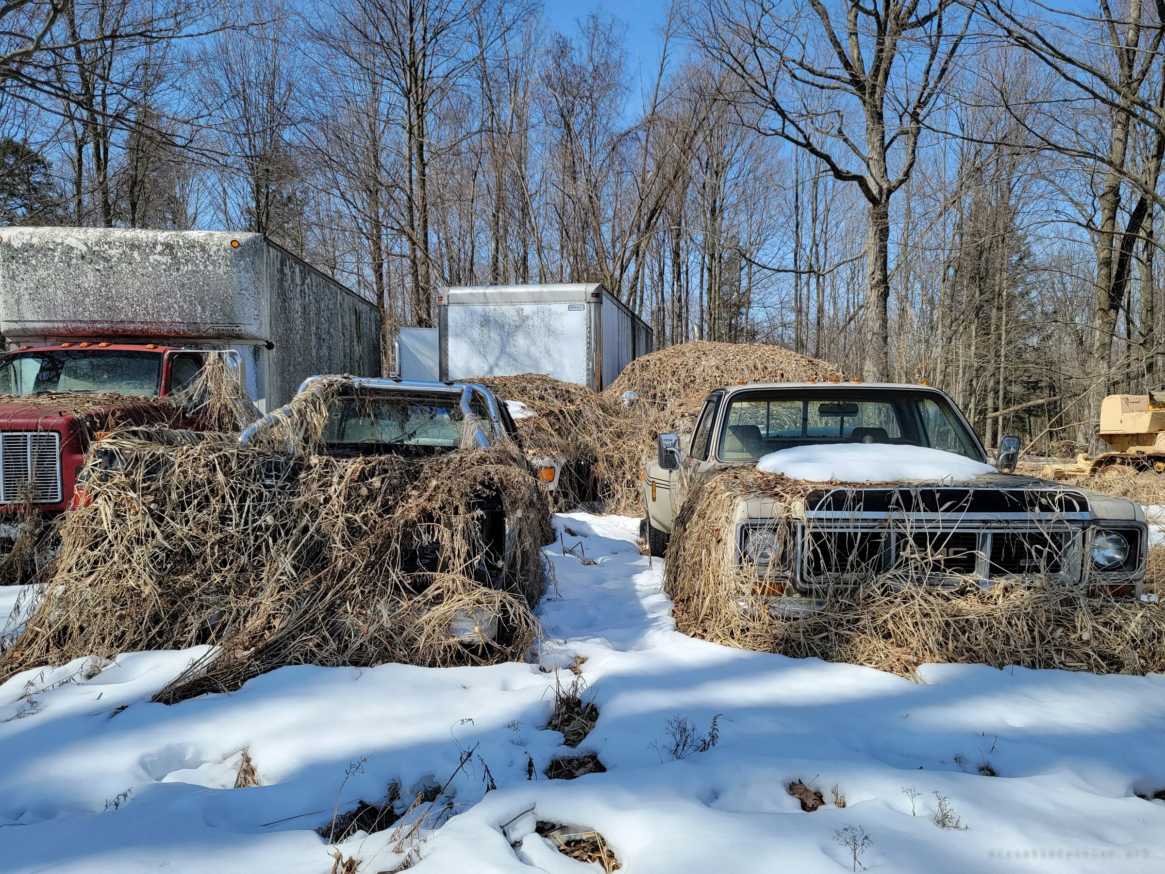 Two pickups buried under matted dead grass in the snow, a red box truck and white cargo boxes behind them. The overgrowth shows how many seasons they have sat untouched.
