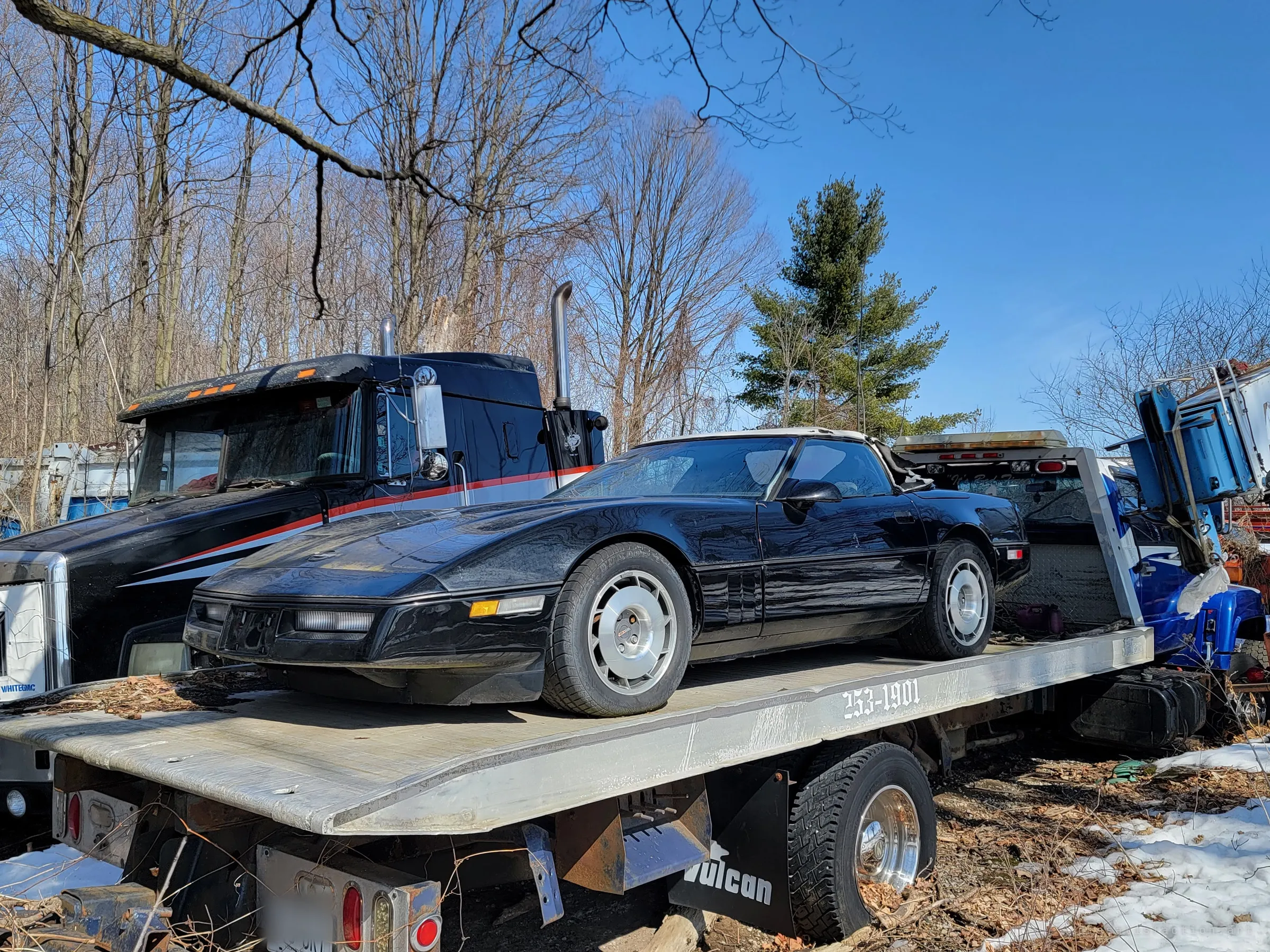 The black sports car seen from the front corner, still loaded on the flatbed beside a black-and-red tractor truck. A tall pine and clear blue sky frame the tow that never finished.