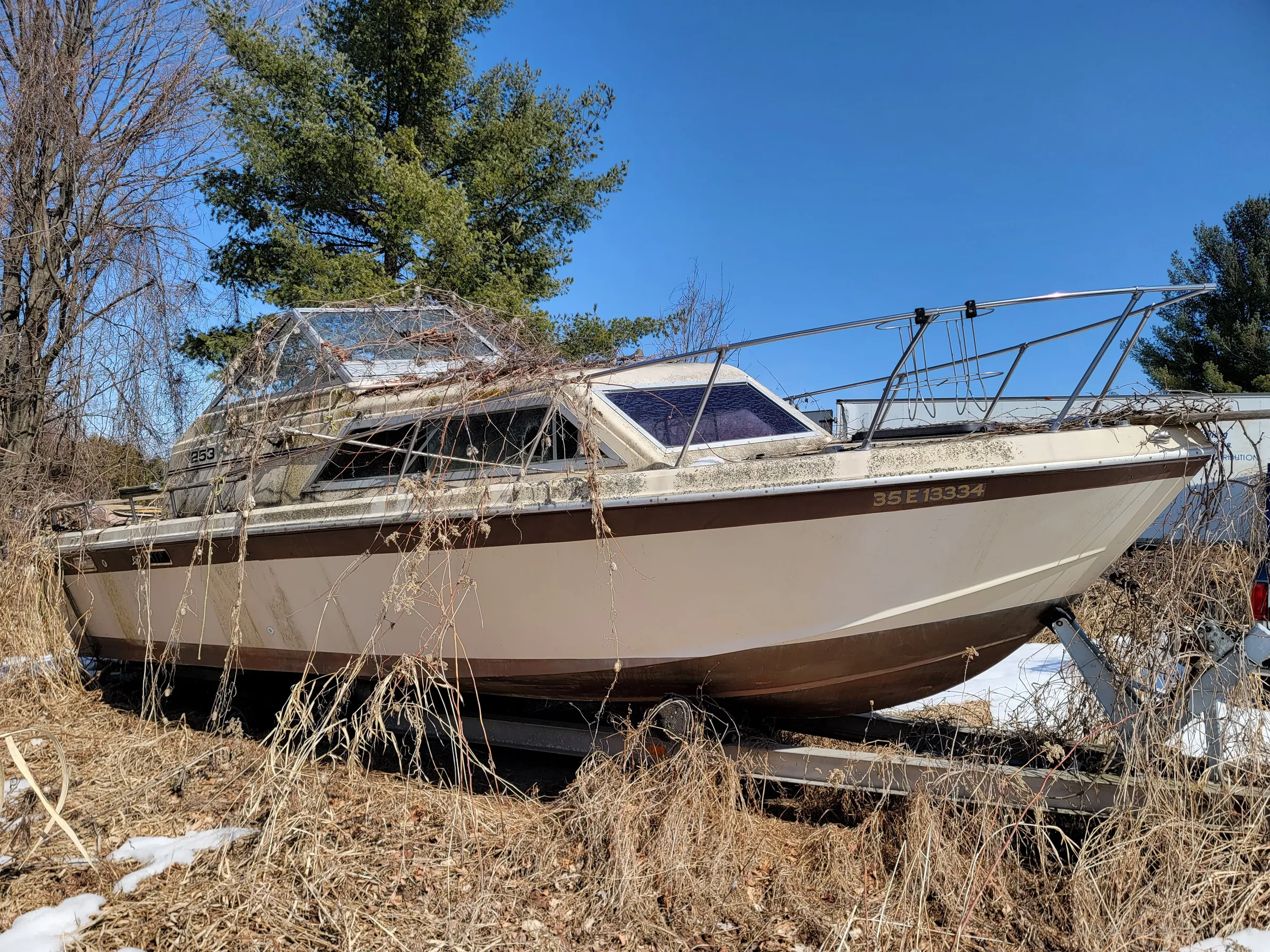 A beige and brown cabin cruiser on its trailer, draped in dead grass and vines under a tall pine. Even boats ended up in this vehicle graveyard.