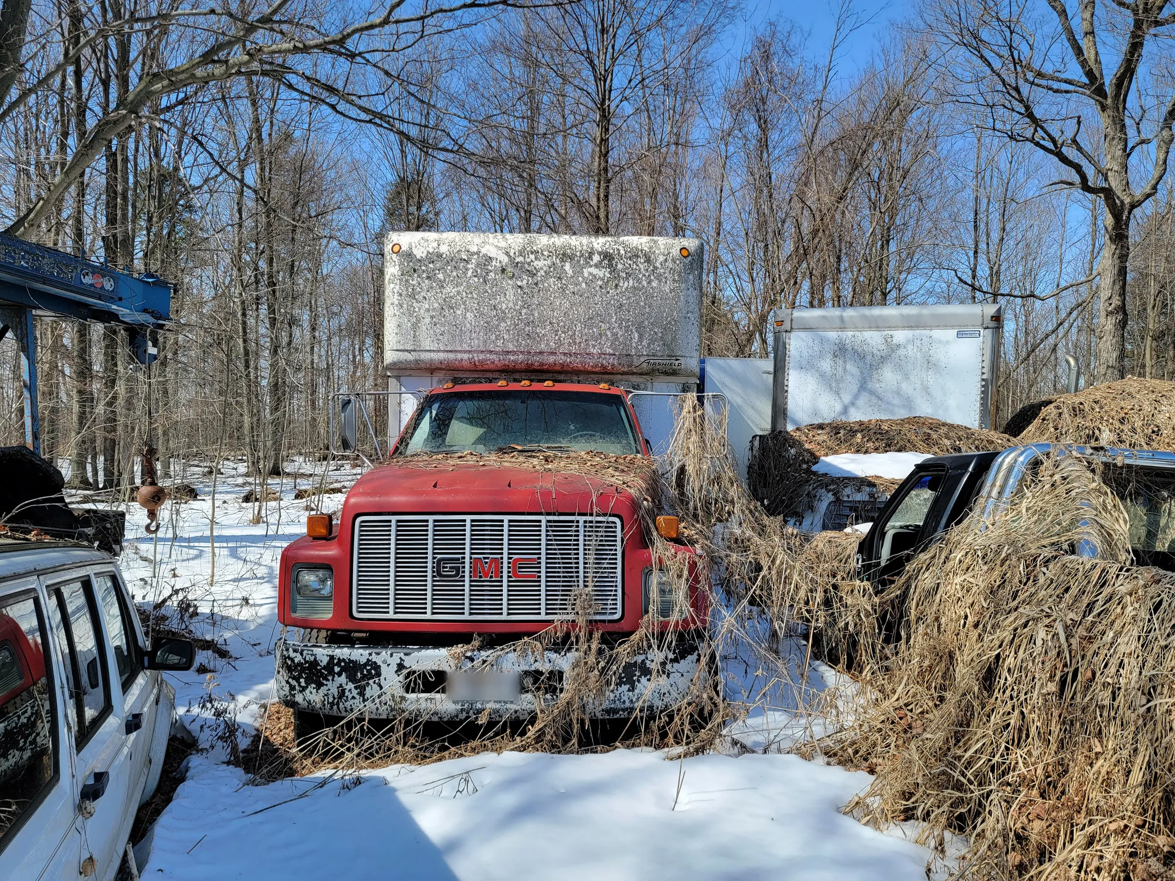A red box truck faces the camera, its hood blanketed in dead leaves and its cargo box streaked with grime, flanked by a crane truck and grass-buried pickups. The bare woods behind make the row feel like a forgotten car park.
