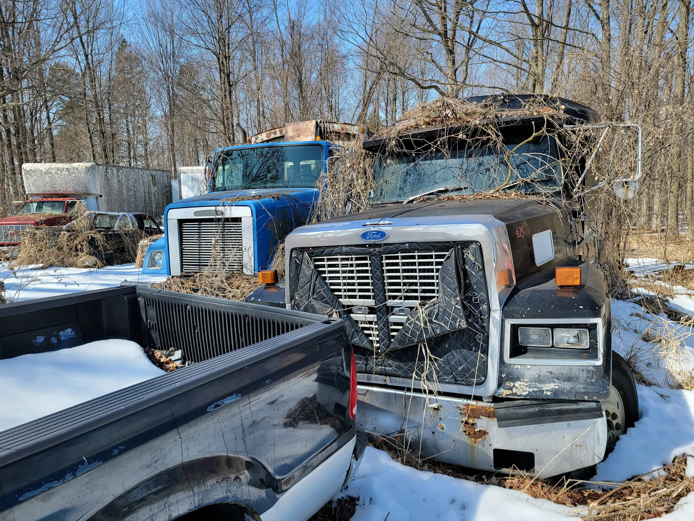 A black truck cab with its winter grille cover torn open sits nose to nose with the bed of a pickup, with a blue truck and a red box truck behind. Vines have grown right over the windshield and mirrors.