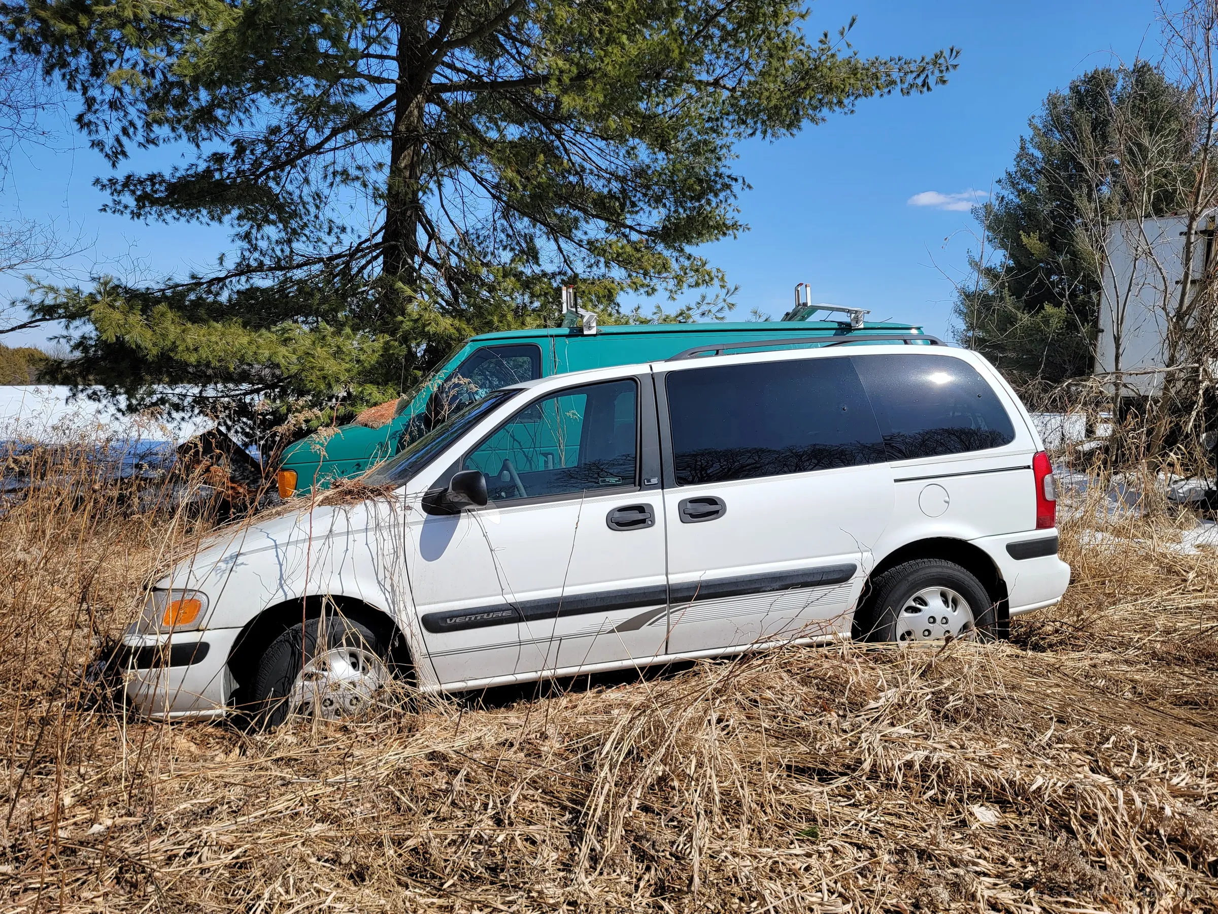 A white minivan sits nose-down in tall dead grass beside a teal work van with roof racks, a big pine behind them. Even ordinary family cars ended up in the yard.