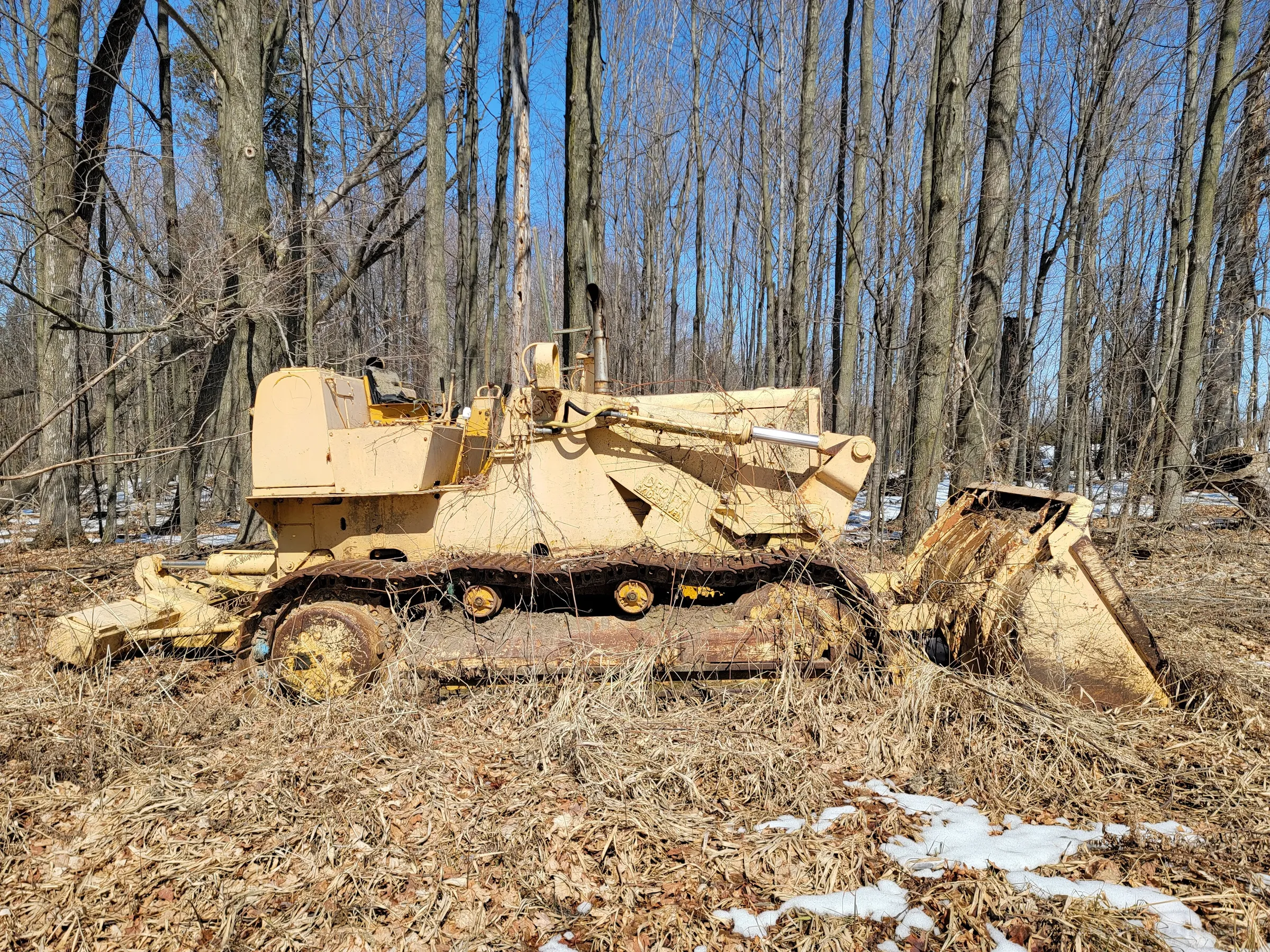 A yellow tracked loader with a rusted bucket stands in leaf litter among tall bare trees. The old heavy machine has been left deep in the woods, far from any work.