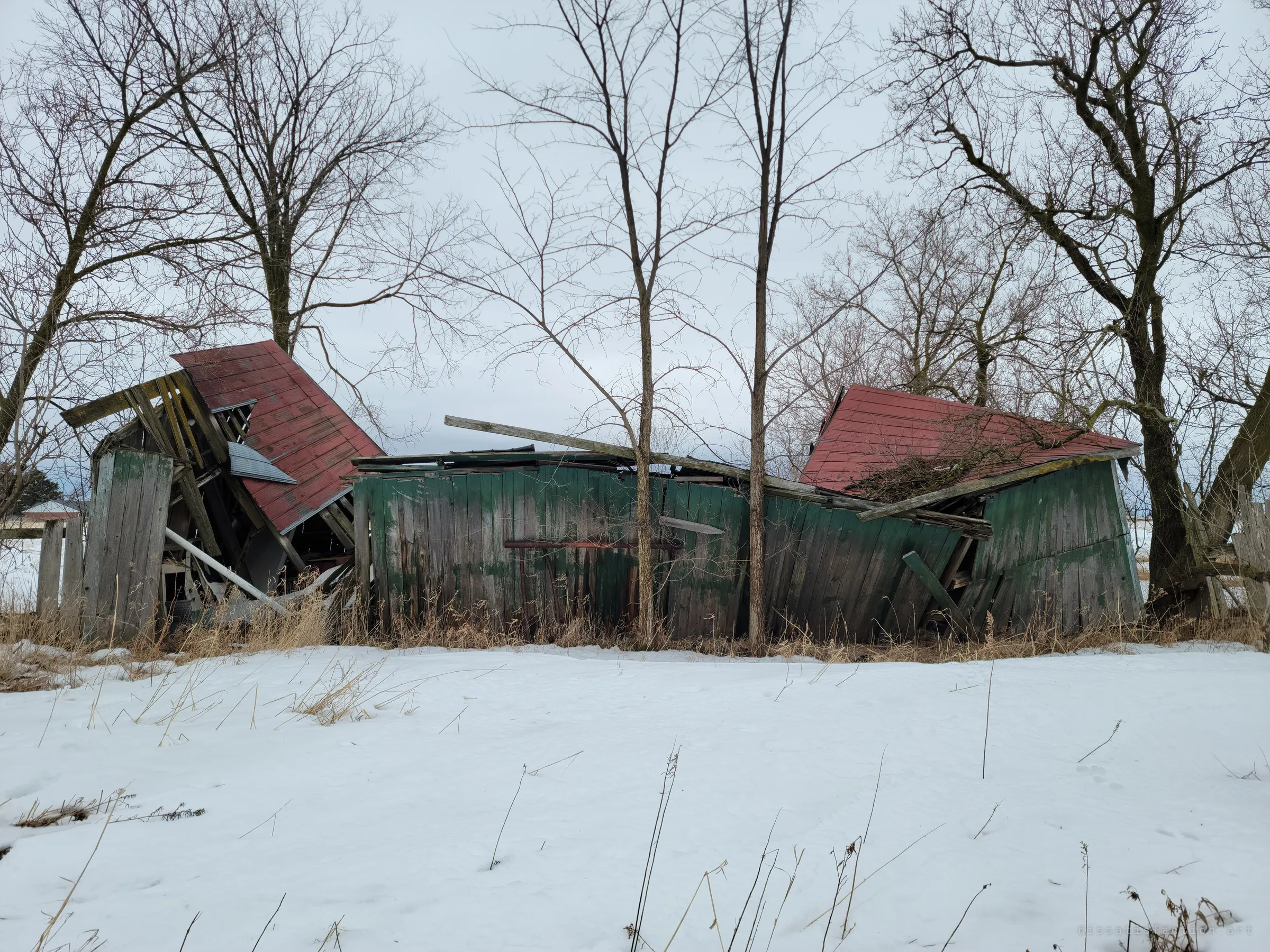 A green plank outbuilding with a red roof folded in on itself, its walls leaning between bare trees in the snow. The collapse shows a structure that has given up entirely.