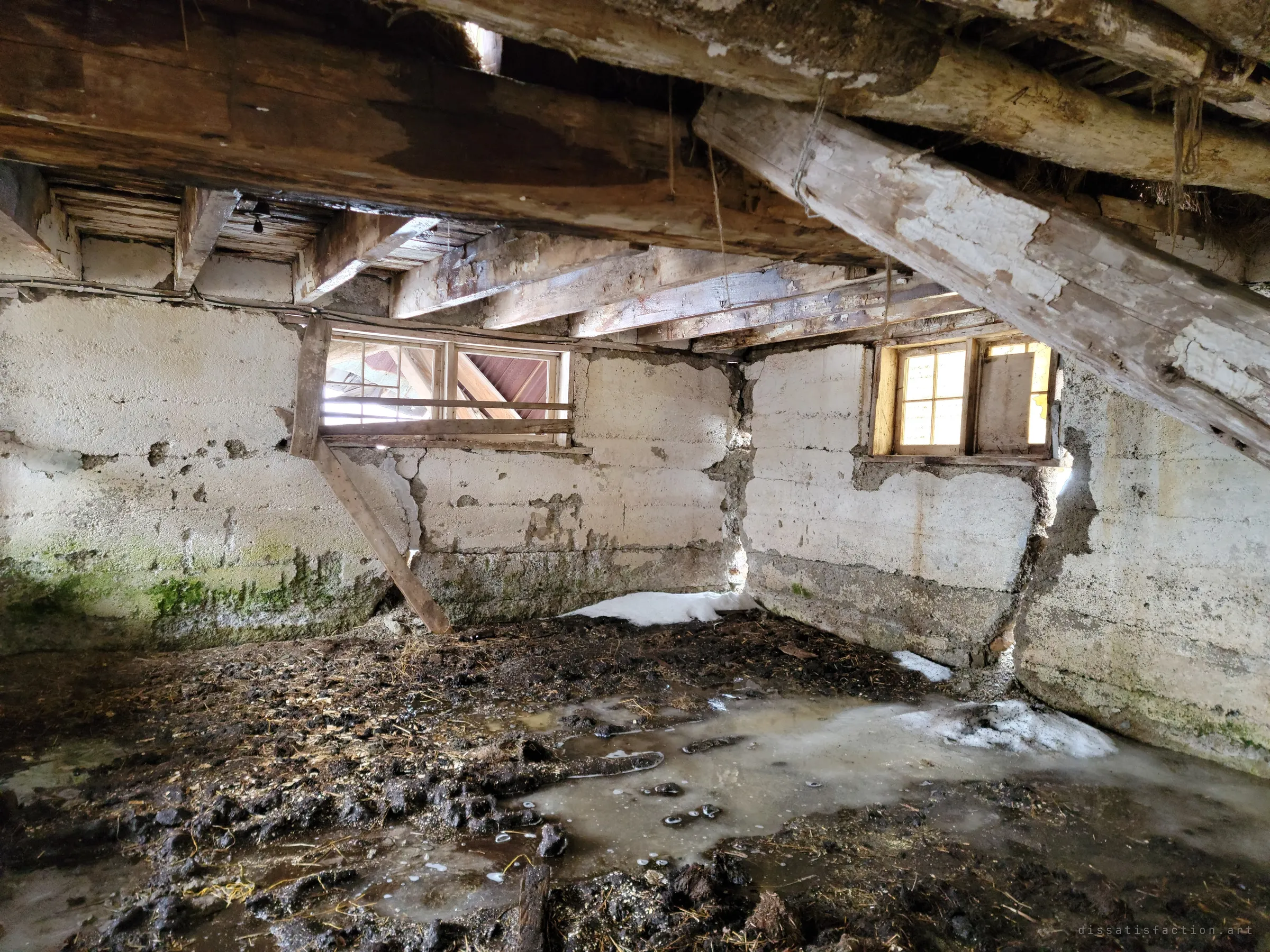 A low stable basement under heavy timber beams, whitewashed concrete walls cracked and mossy, the floor a mix of old manure, meltwater and ice. A diagonal brace props the sagging ceiling, the barn above held up by improvised timber.