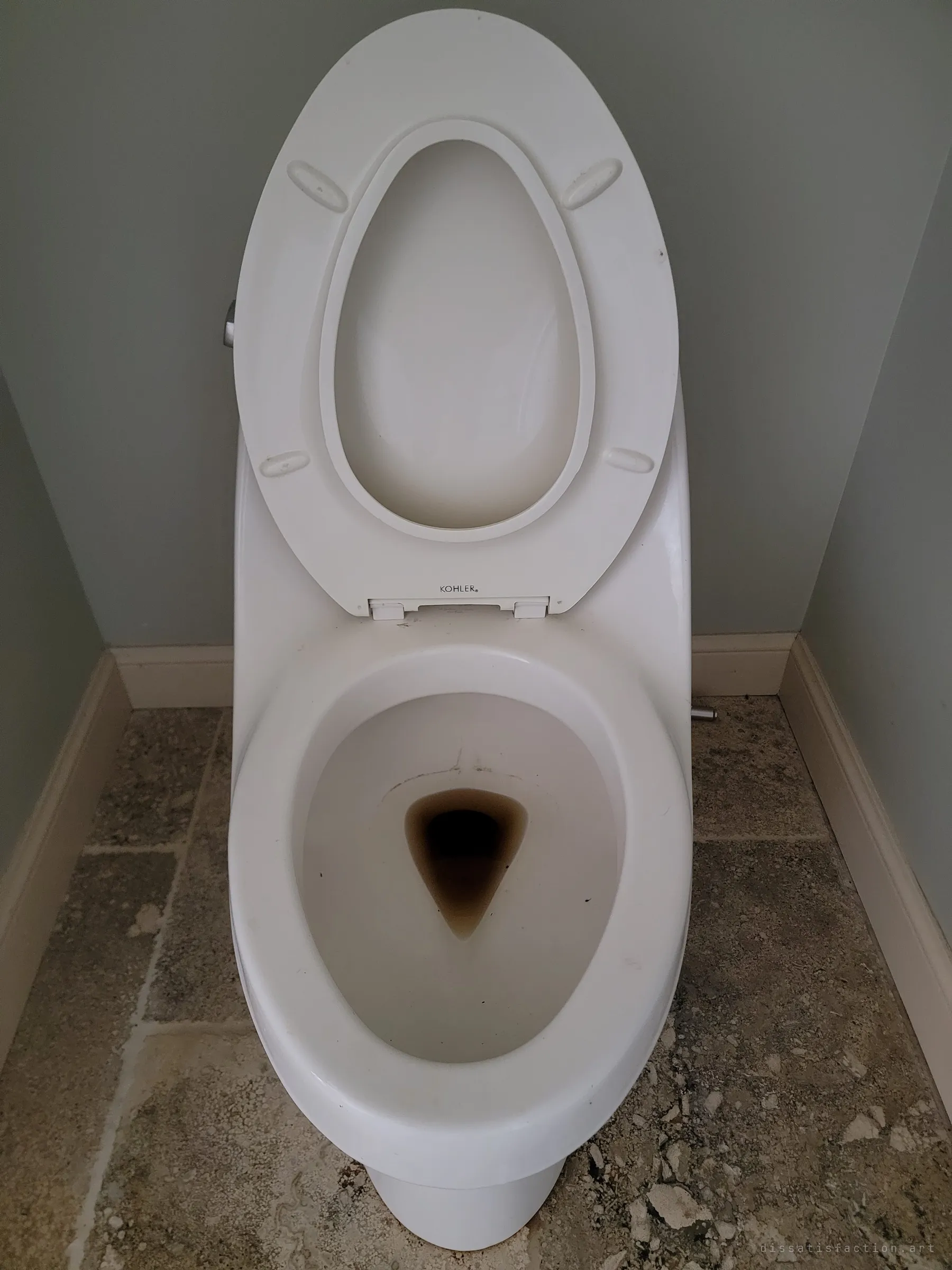 Looking down into a toilet with the lid up and a dark ring of stain where the water sat and dried. A small, grim sign of how long the house has stood without anyone in it.