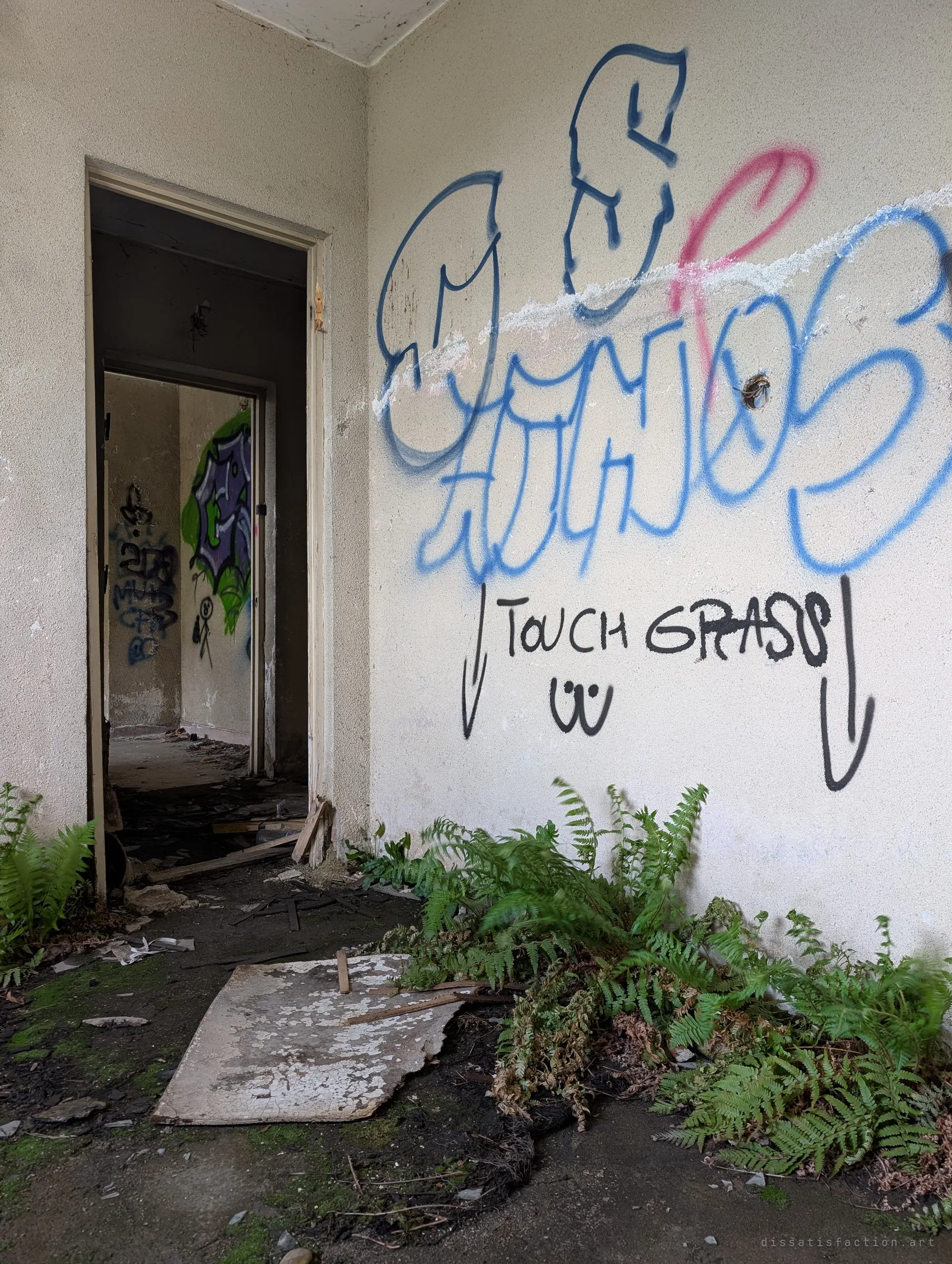 A graffiti-covered interior wall with a 'touch grass' tag above ferns growing straight out of the rotting floor, a doorway leading into further tagged rooms. Nature is already reclaiming the inside of the building.
