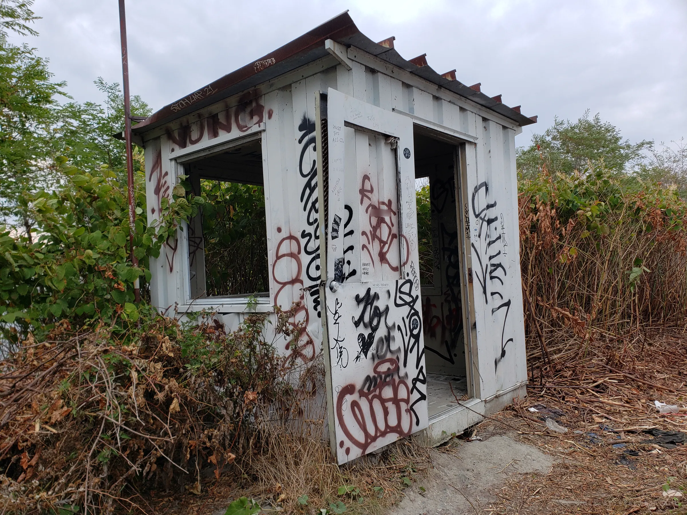 A small white guard hut with a rusted roof, its door hanging open, swallowed by knotweed and dead brush and covered in tags.
