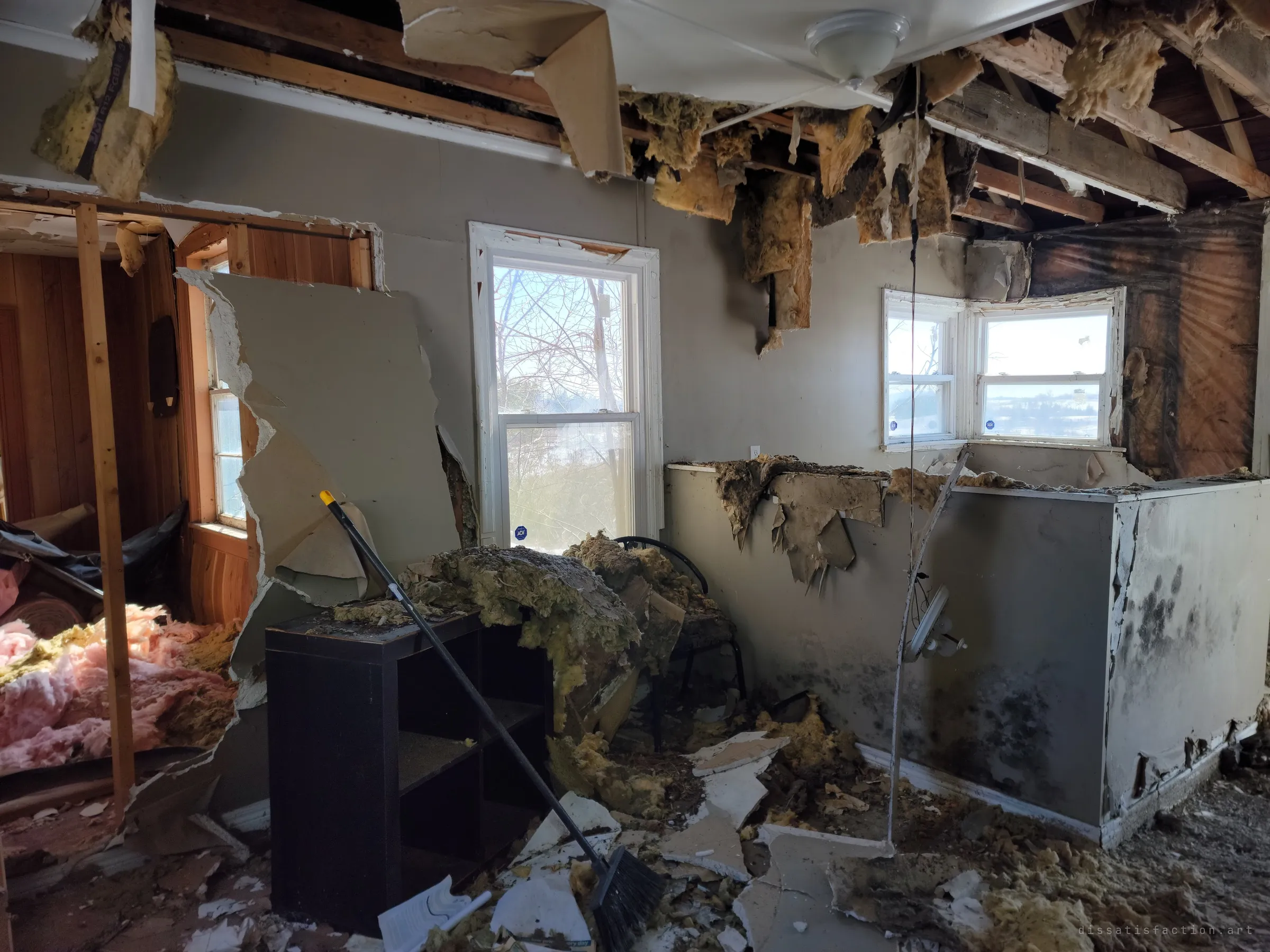 A room where the ceiling has collapsed, spilling yellow insulation and drywall over a shelf unit and the floor, with black mould creeping up the walls. The worst water damage in the house.