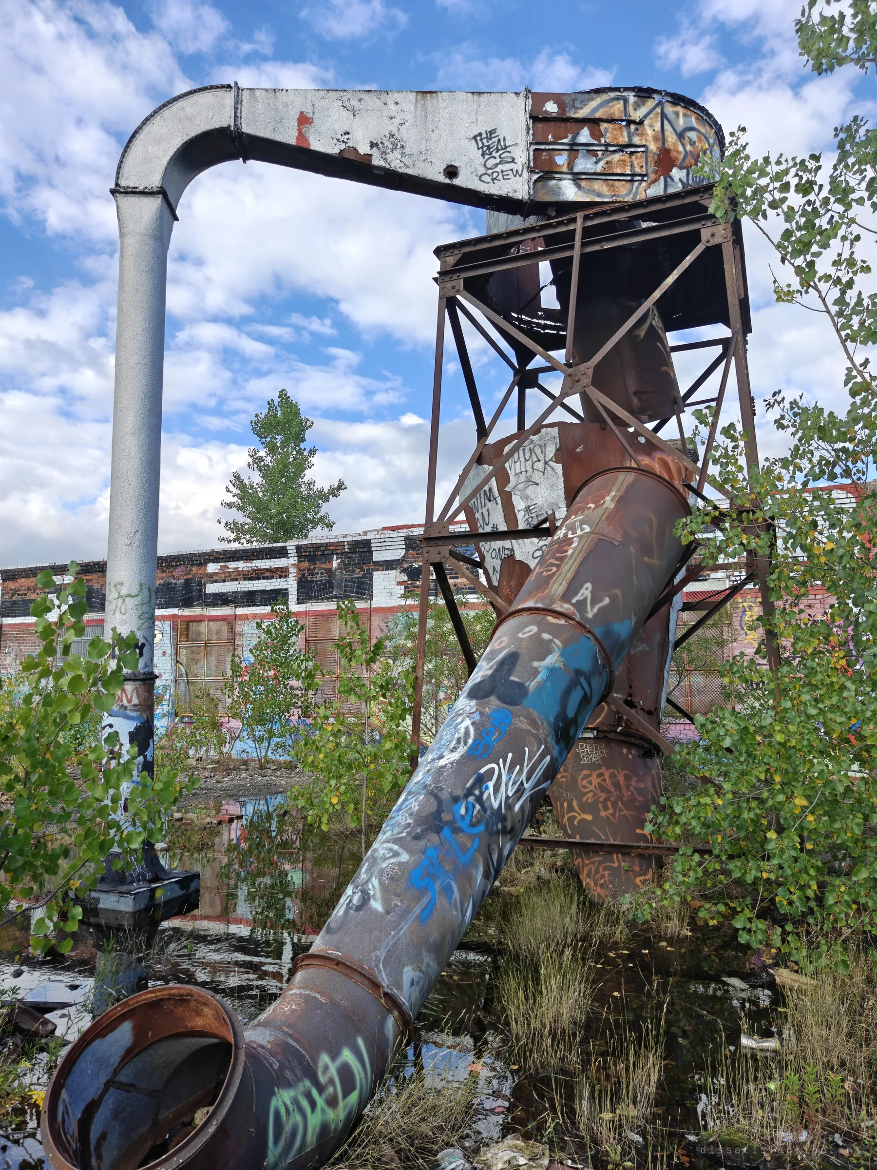 A rusted cyclone dust collector on a steel frame, its tagged ductwork arching overhead and a fallen pipe running down into standing water and saplings. The roof it stands on is slowly turning into a wetland.