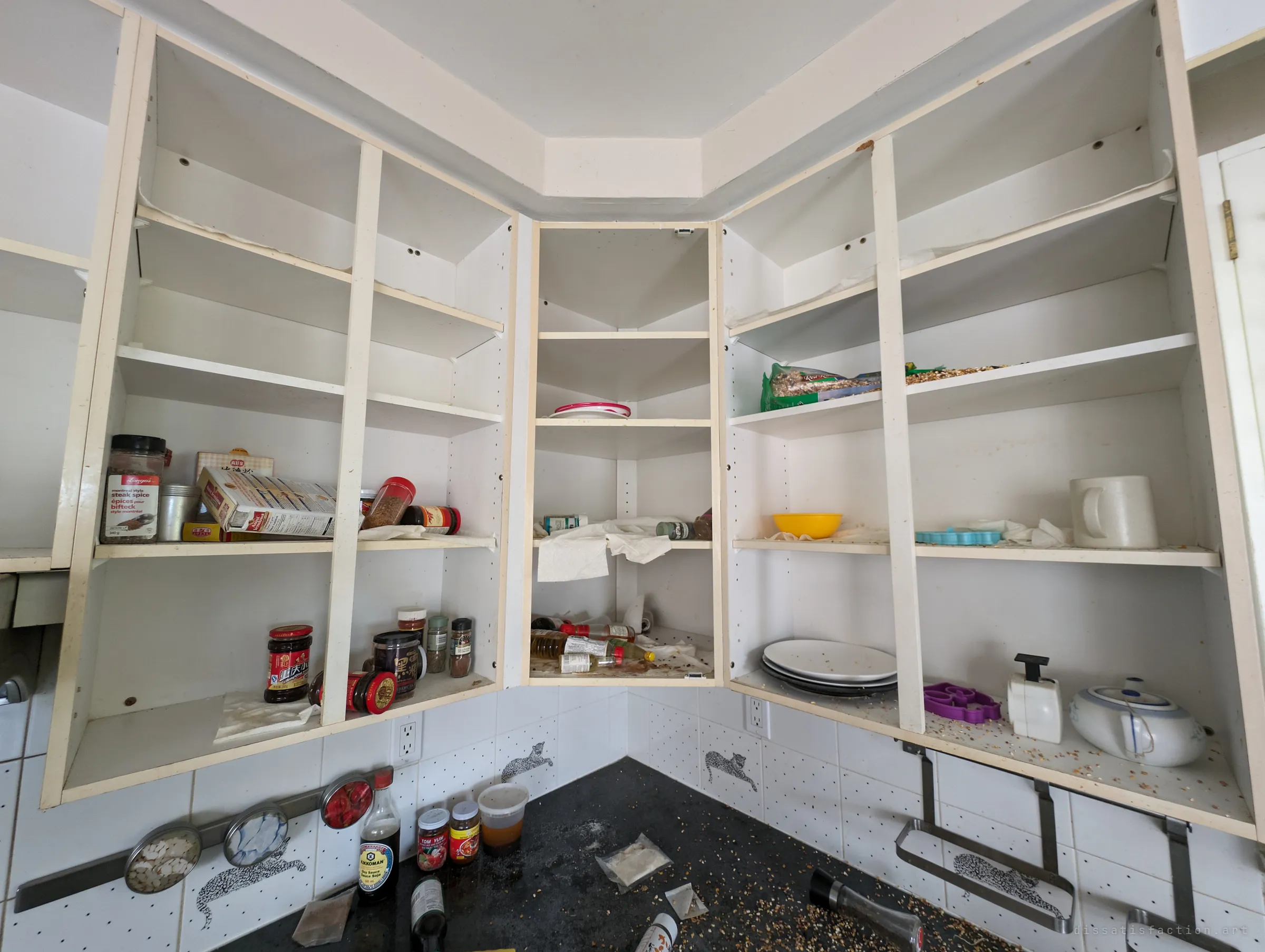 A corner of open kitchen cabinets, their doors removed, holding sauces, spice jars, plates and a teapot scattered with birdseed. The leopard tiles below repeat the kitchen's odd decor.