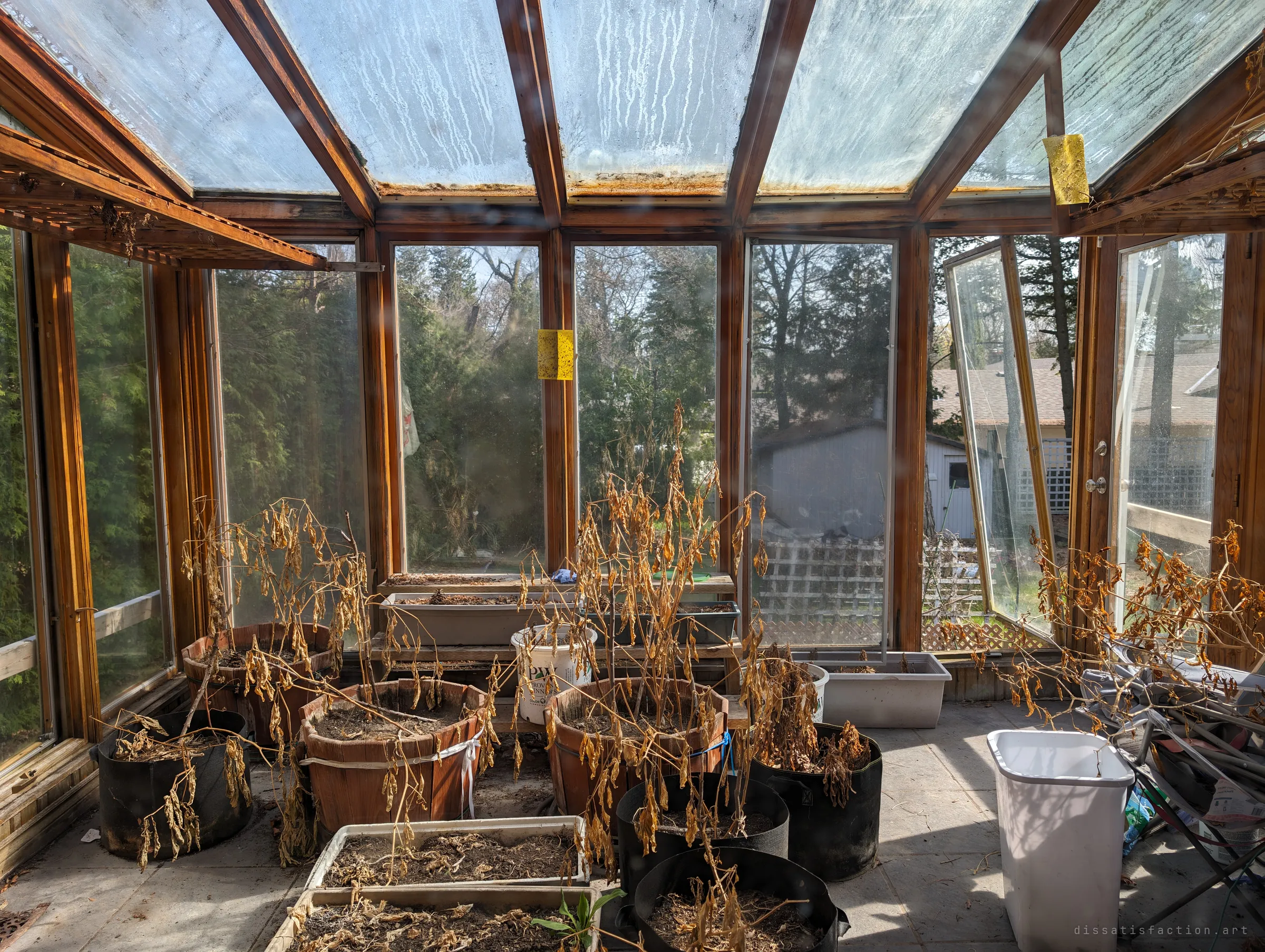 A wood-framed sunroom full of potted plants that died where they stood, sunlight coming through streaked roof glass. One window hangs open off its hinge.