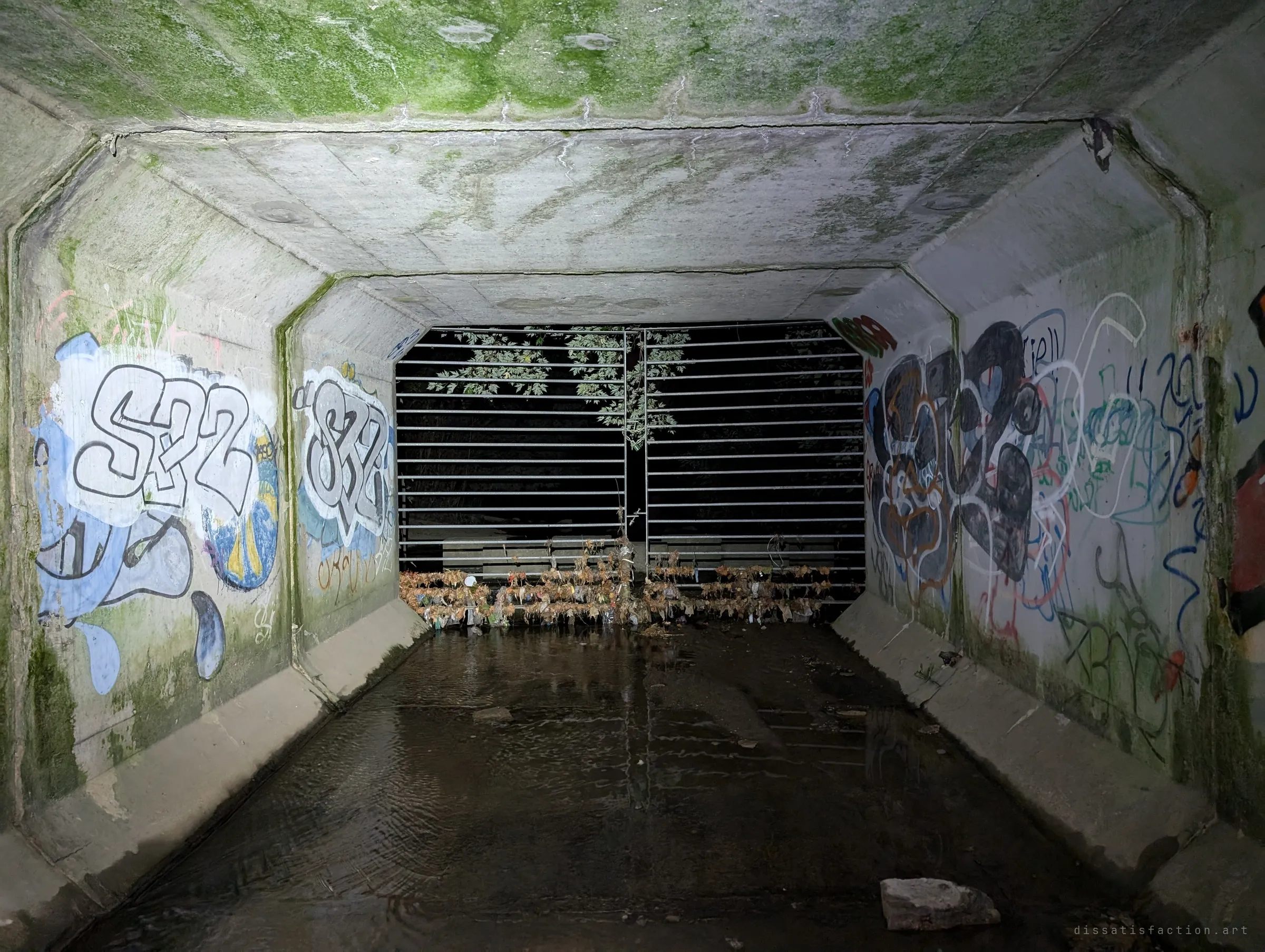 Looking back out through the barred outfall from inside a moss-streaked box culvert, graffiti pieces on both walls and a thin sheet of water on the floor. The last view of leaves and night before the drain closes in.