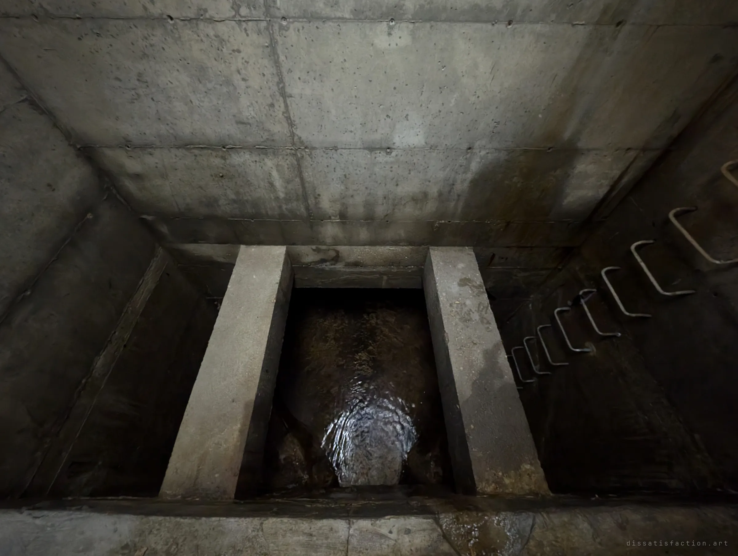 Straight down into the lower chamber, where two concrete beams frame a pool of rippling water and a ladder of rungs runs down the right wall.