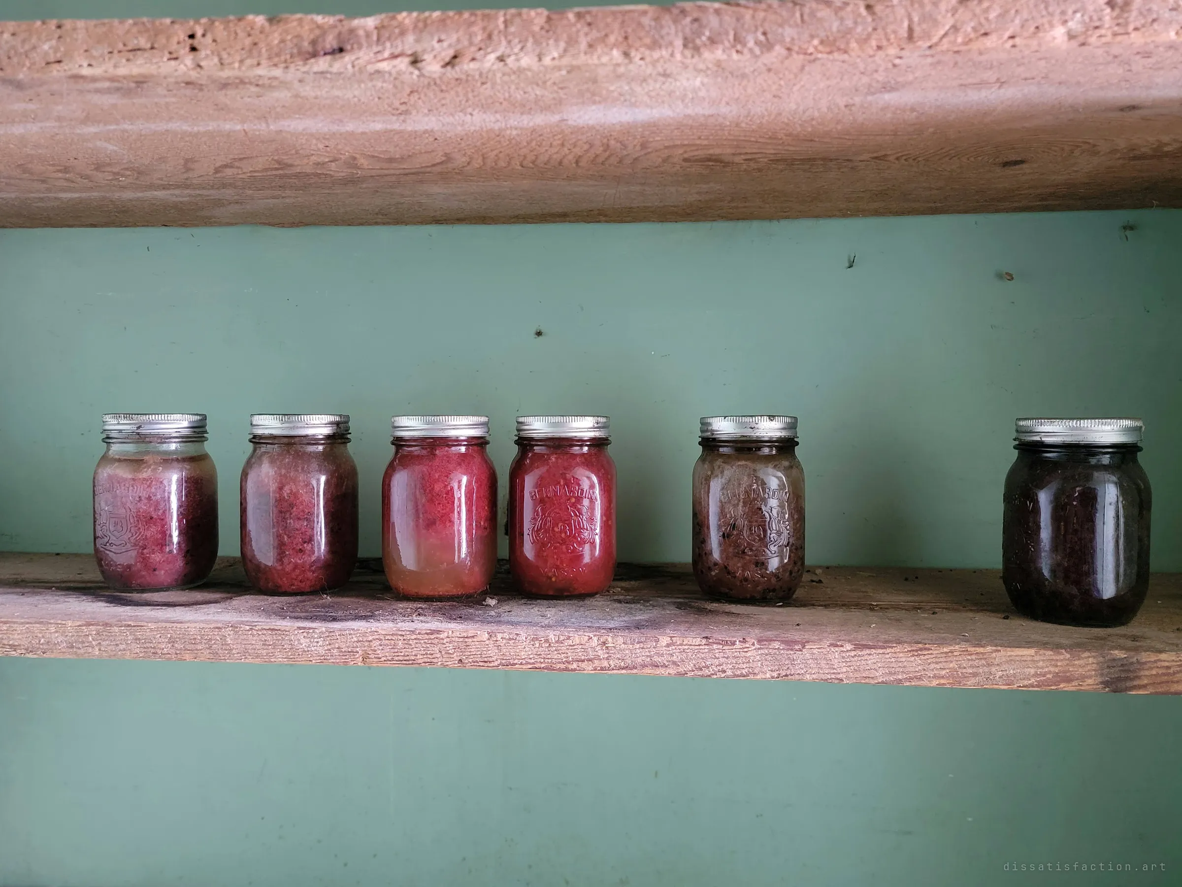 Six jars of home preserves still lined up on a rough wooden shelf against a green wall, the fruit darkened and settled. Somebody put these up and never came back for them.