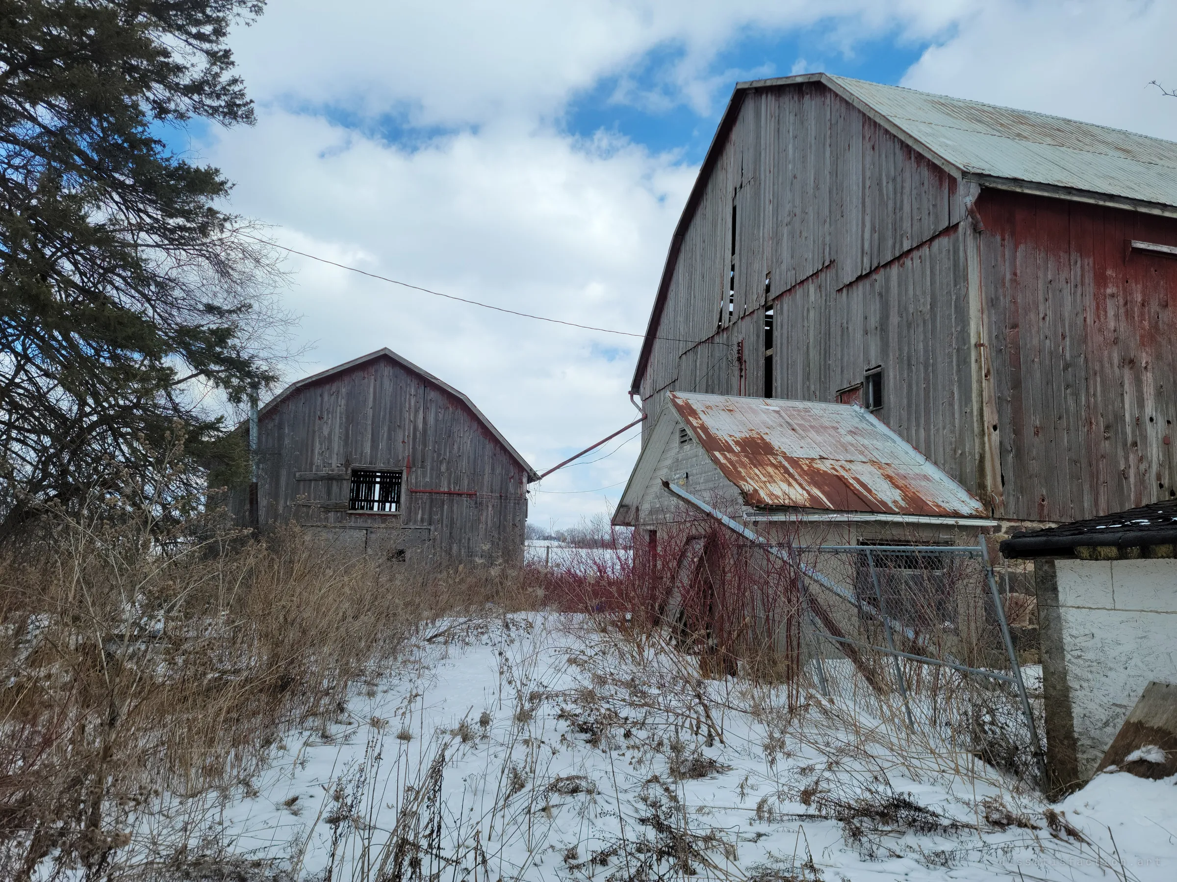 Two weathered gambrel barns with faded red boards face each other across a snowy, overgrown yard under a bright winter sky. The scale of the farm and its abandonment in one frame.