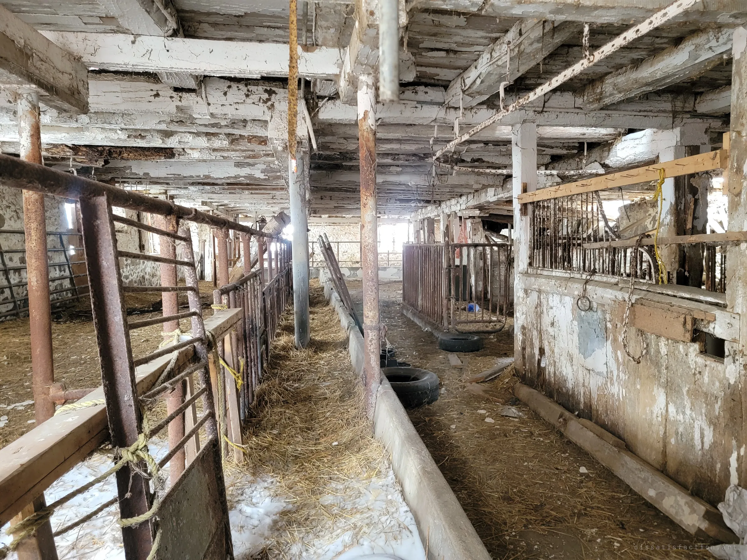 The barn's lower stable level: rows of rusted steel stall gates and a concrete feed trough run beneath flaking whitewashed beams, with snow drifting in over the straw. Old tyres and ropes are scattered along the aisles.