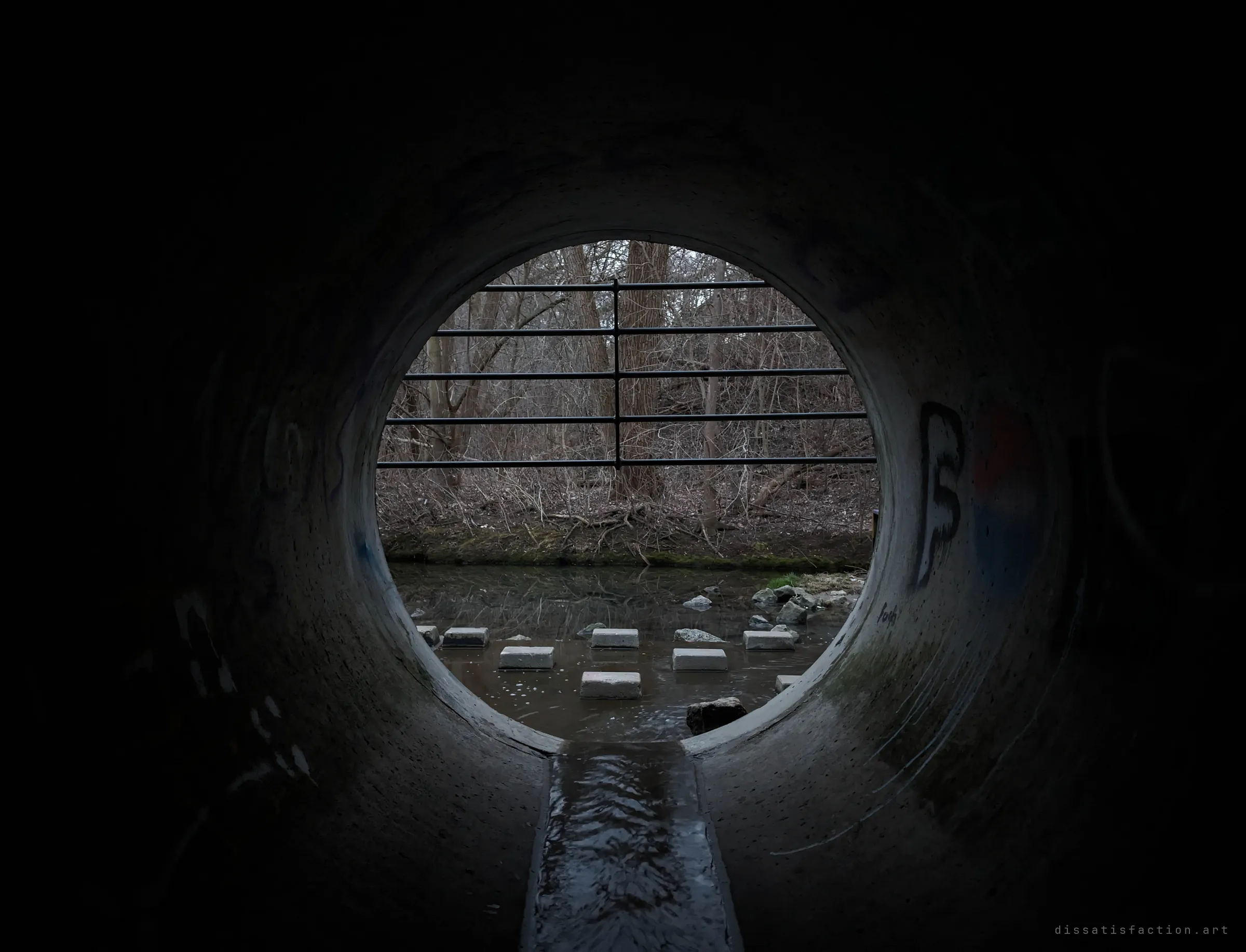 Looking out from inside a round concrete pipe toward the barred mouth, the creek and bare trees framed in the circle. The last daylight before going in.