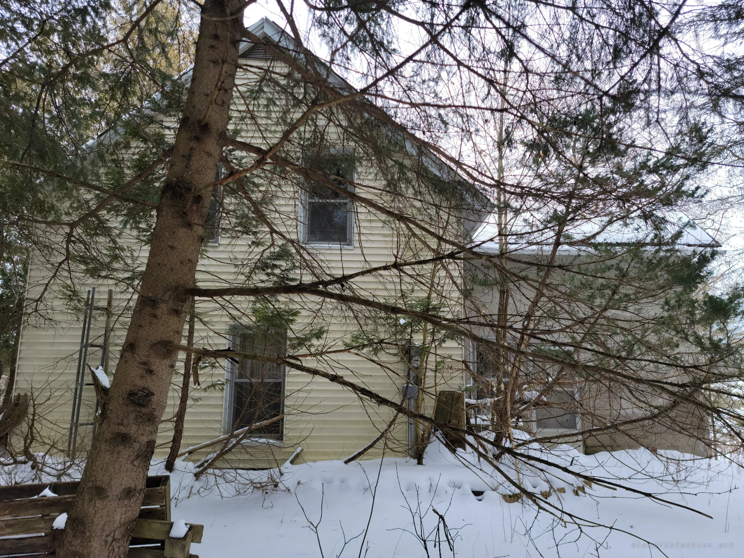 A pale vinyl-sided farmhouse half hidden behind spruce branches, snow drifted against its walls and a ladder still leaning on the siding. The first look at a house that has been left to the trees.