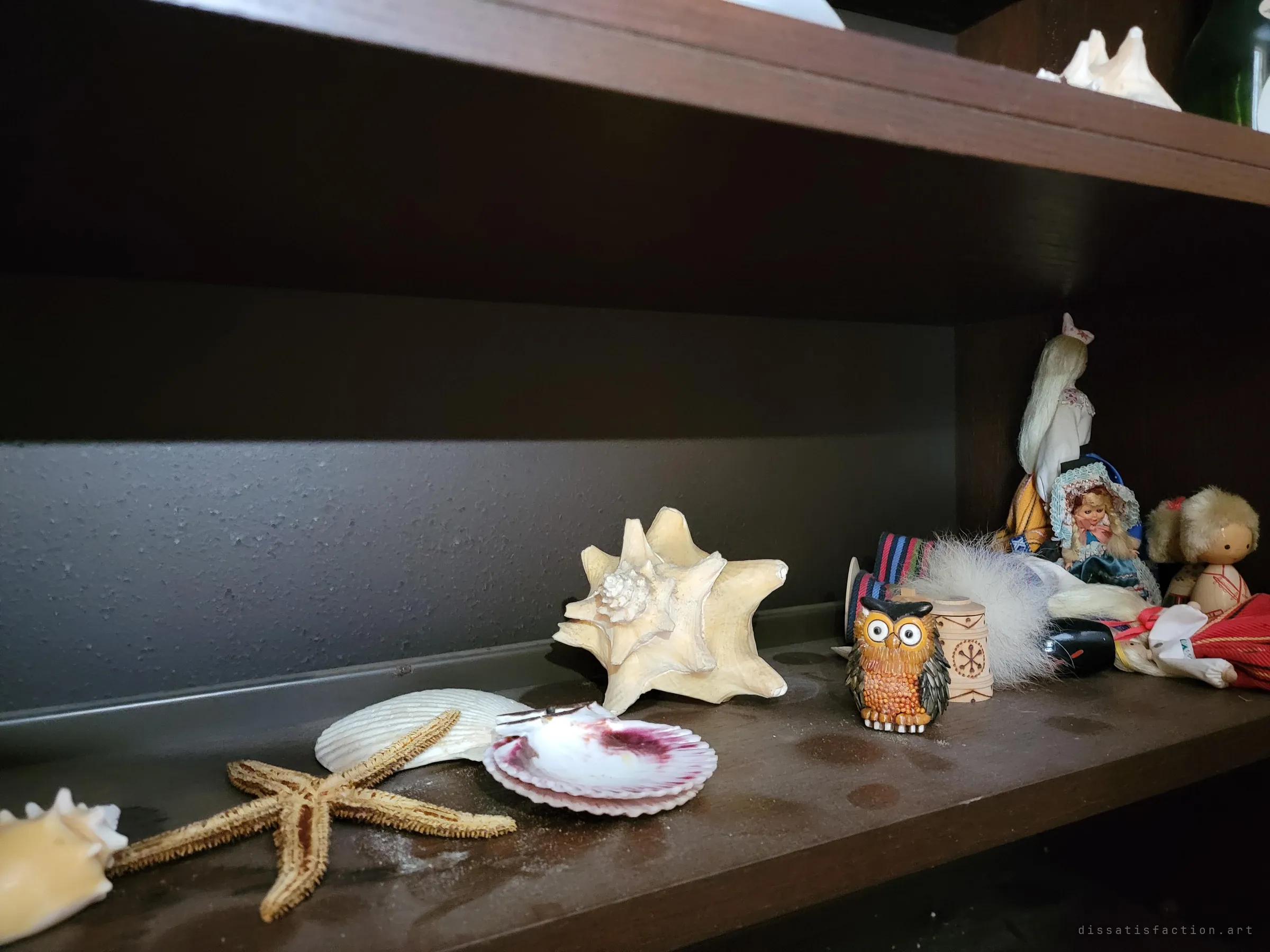 Seashells, a dried starfish, a carved owl and small folk dolls gather dust on a dark wooden shelf, keepsakes left exactly where they were set down.