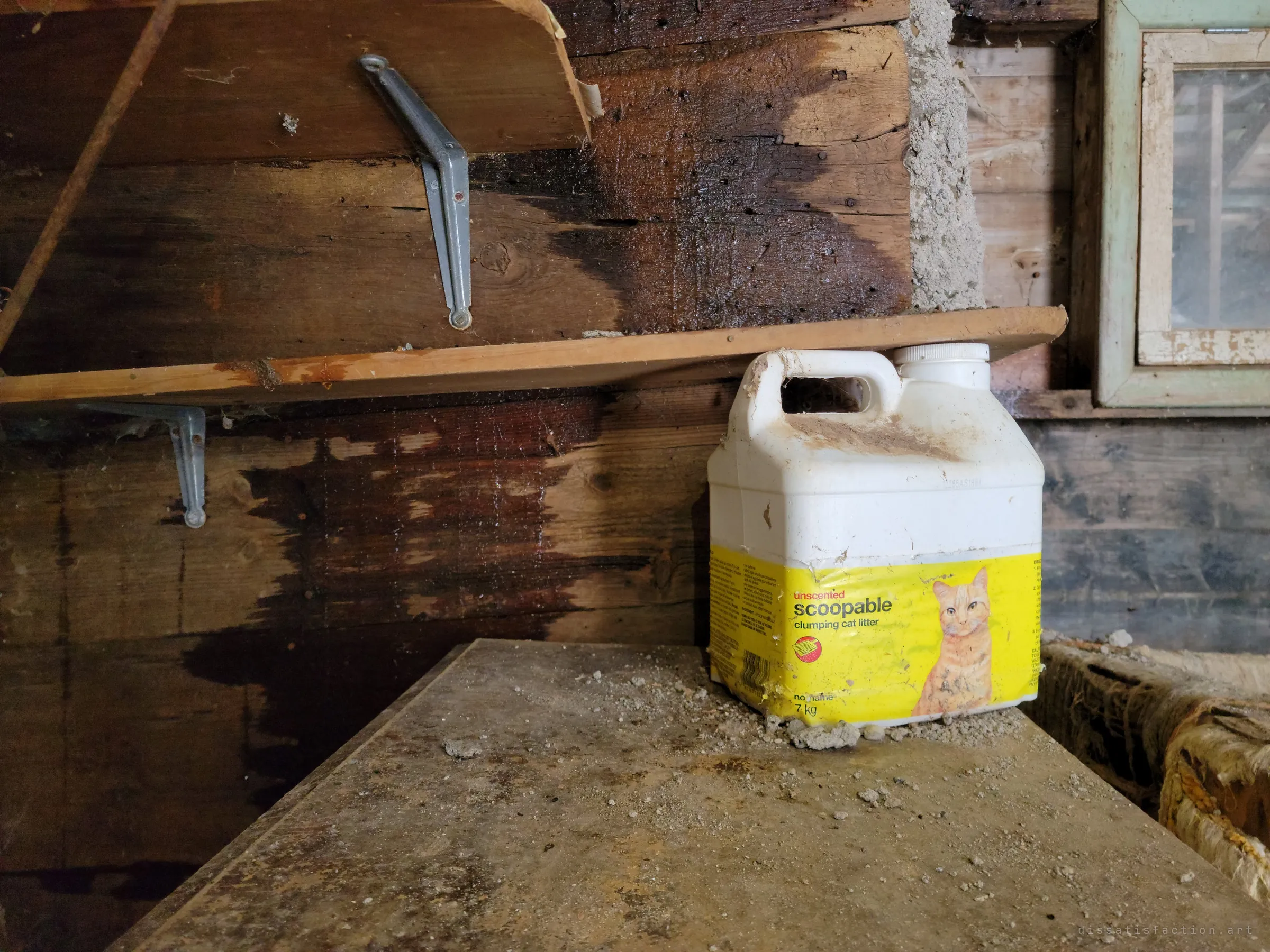 A dusty jug of cat litter wedged under a sagging shelf in a water-stained wooden shed, one of many signs that a cat once lived here.