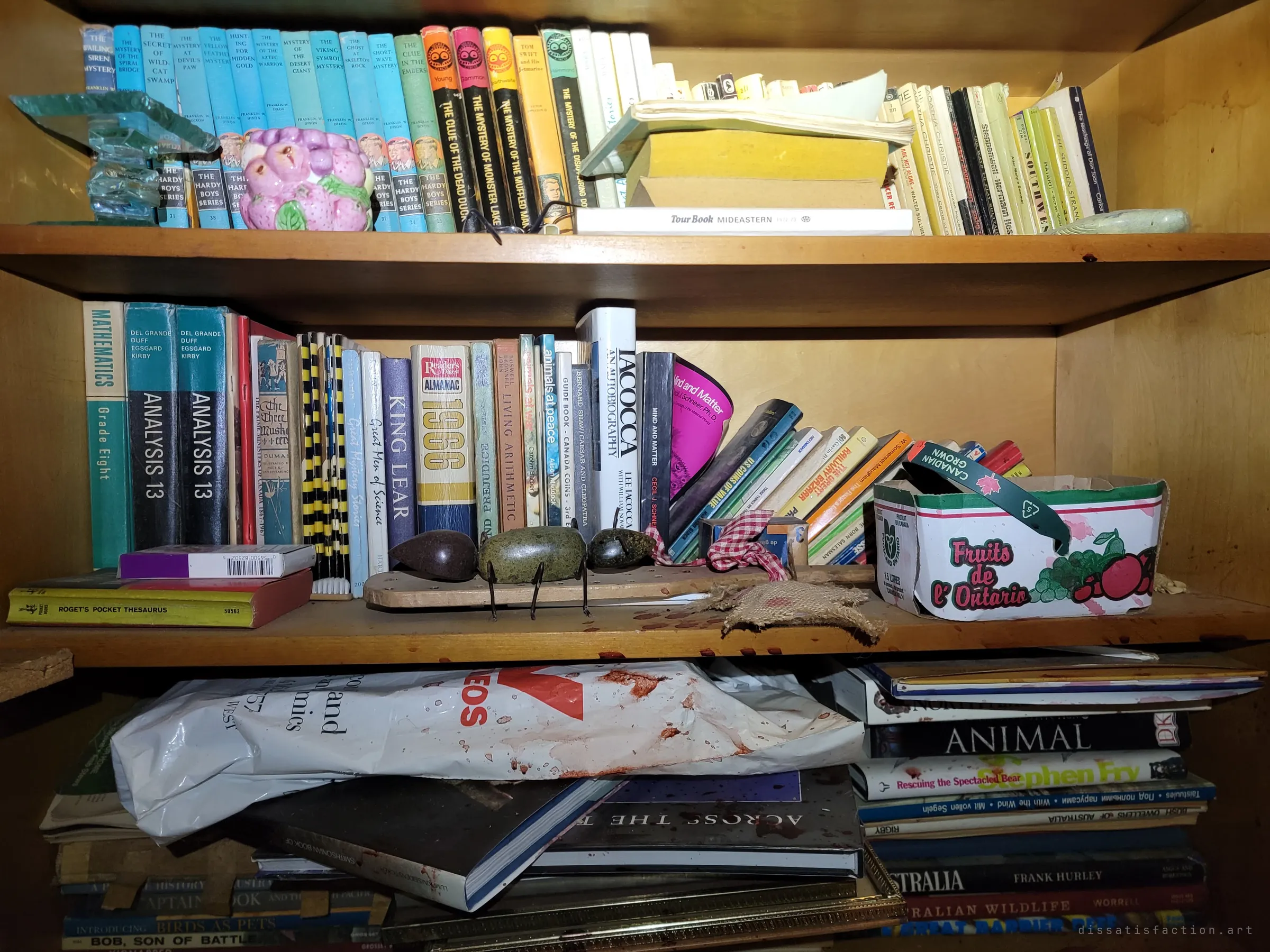 A bookcase packed with decades of reading: boys mystery series, school maths textbooks, an old almanac and nature books, with a fruit basket and stone ornaments on the shelf.