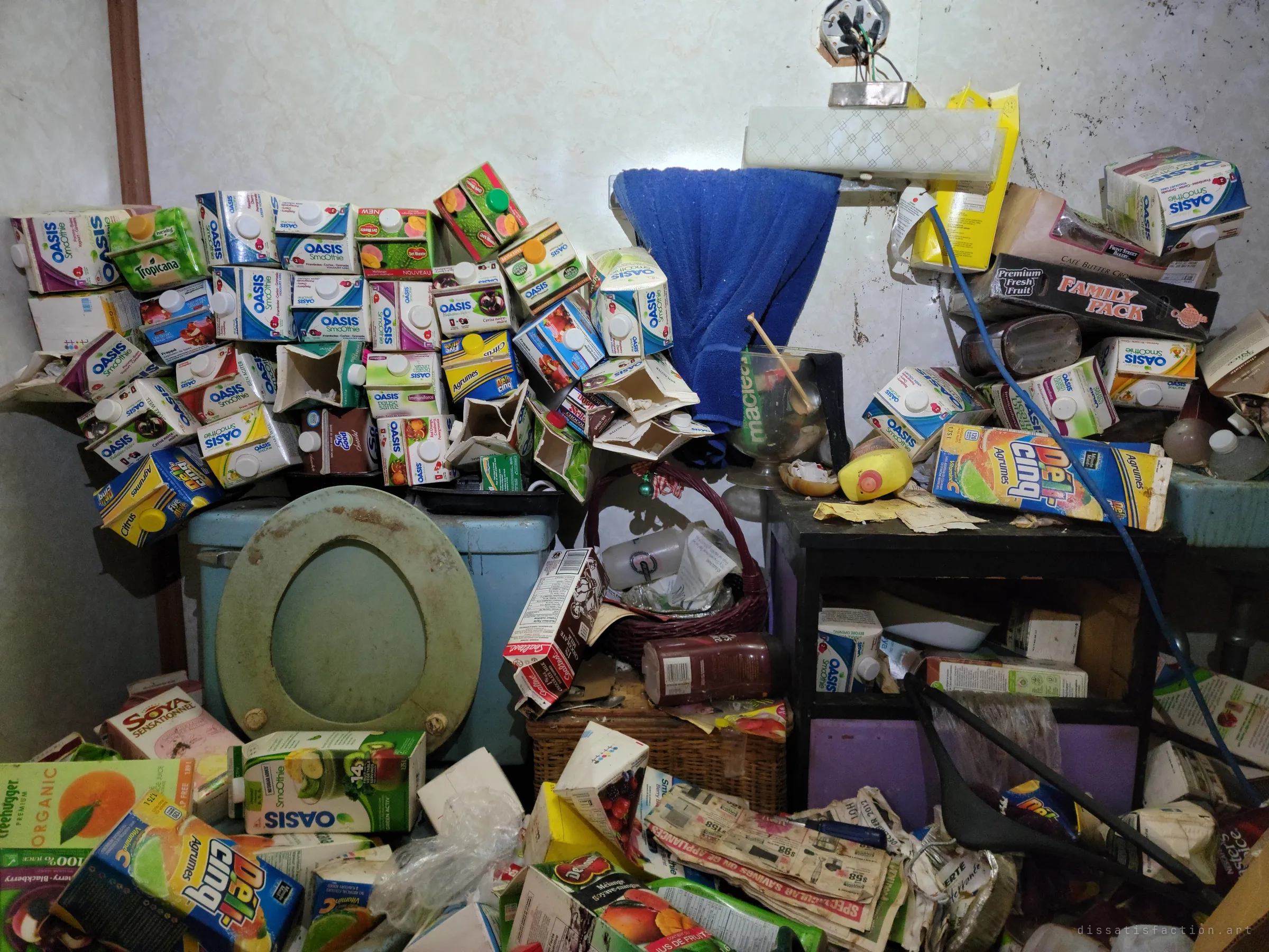 A bathroom wall stacked high with empty juice and smoothie cartons above a lidless toilet tank, with a light fitting torn off its box. Even the bathroom was given over to the hoard.