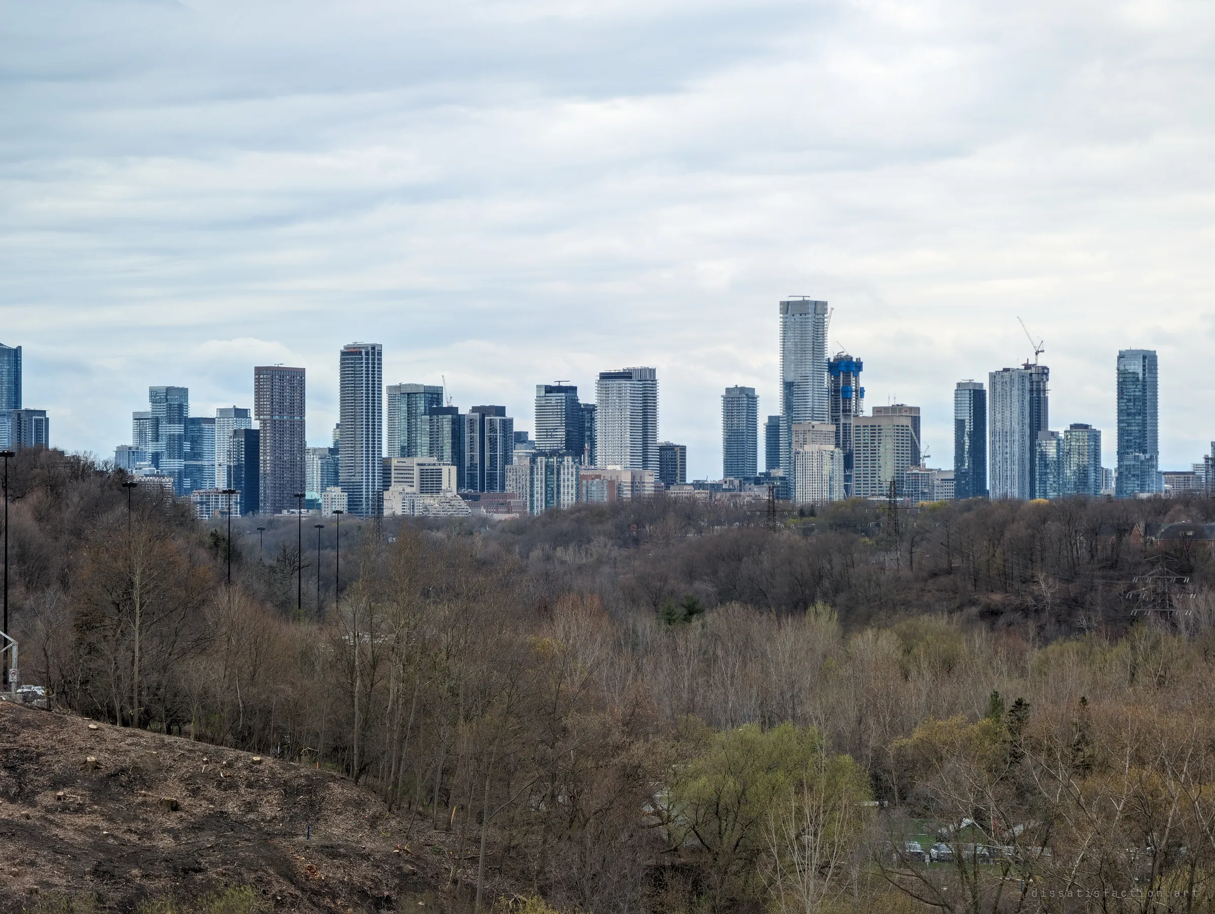 A wall of glass condo towers rises above a wide ravine of bare spring trees under a grey sky, the city pressing right up against the wild edge.
