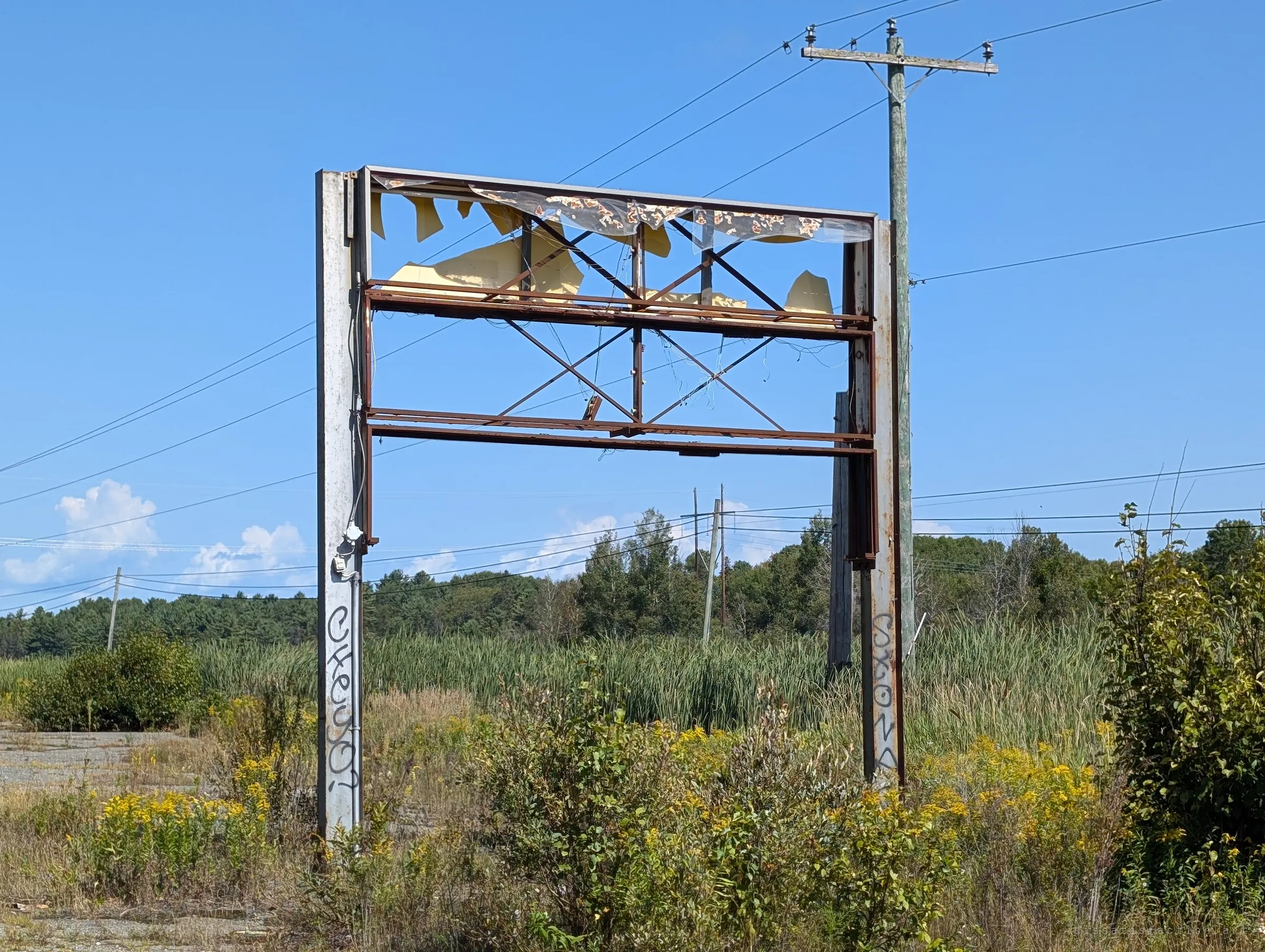 The gutted steel frame of a roadside sign stands in goldenrod and cattails, its panels torn away and its posts tagged. Whatever it once advertised is long gone.