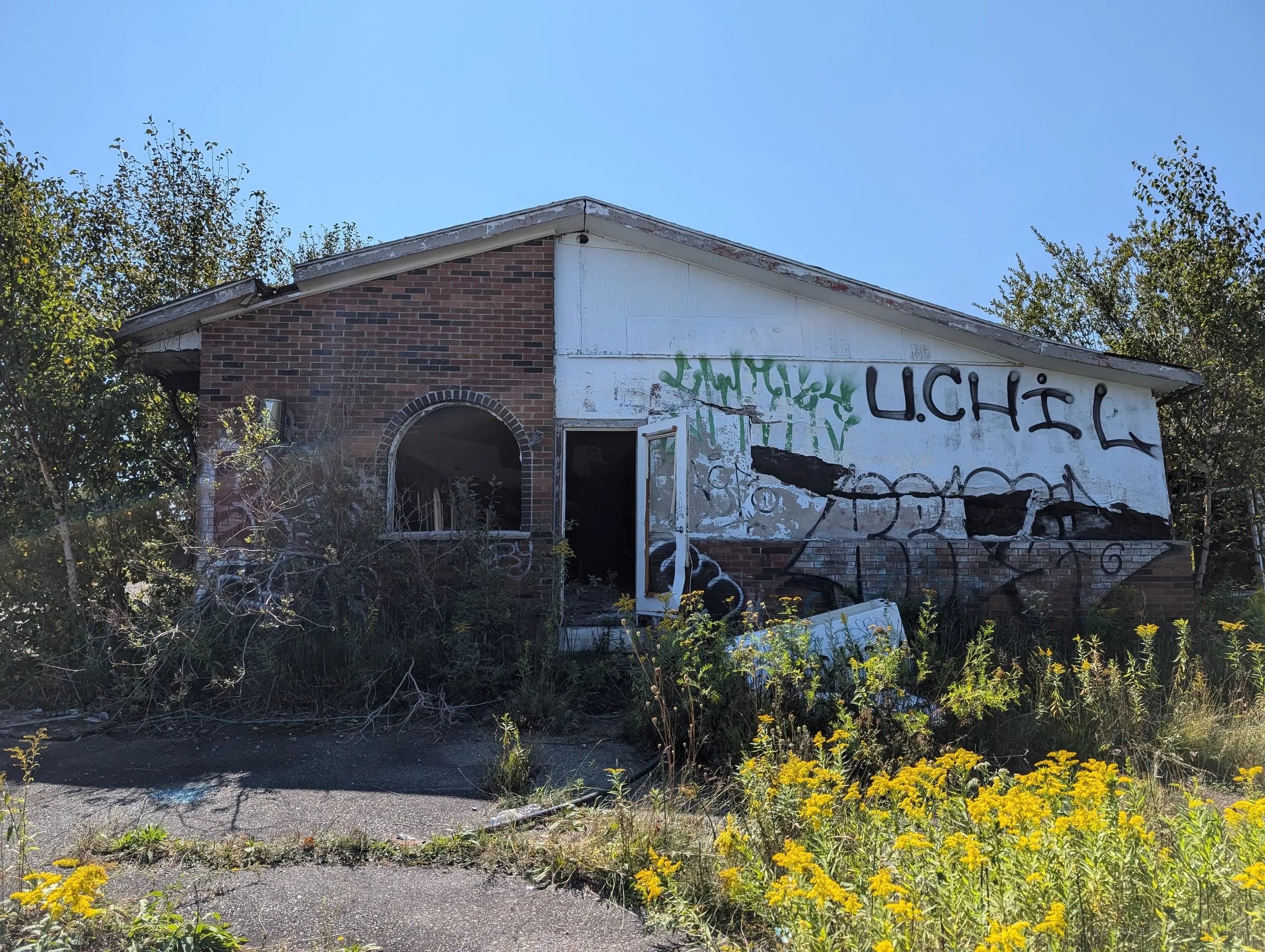 A small brick and white-panel building with an arched window and a door hanging open, its siding peeling and tagged, half buried in goldenrod and saplings.