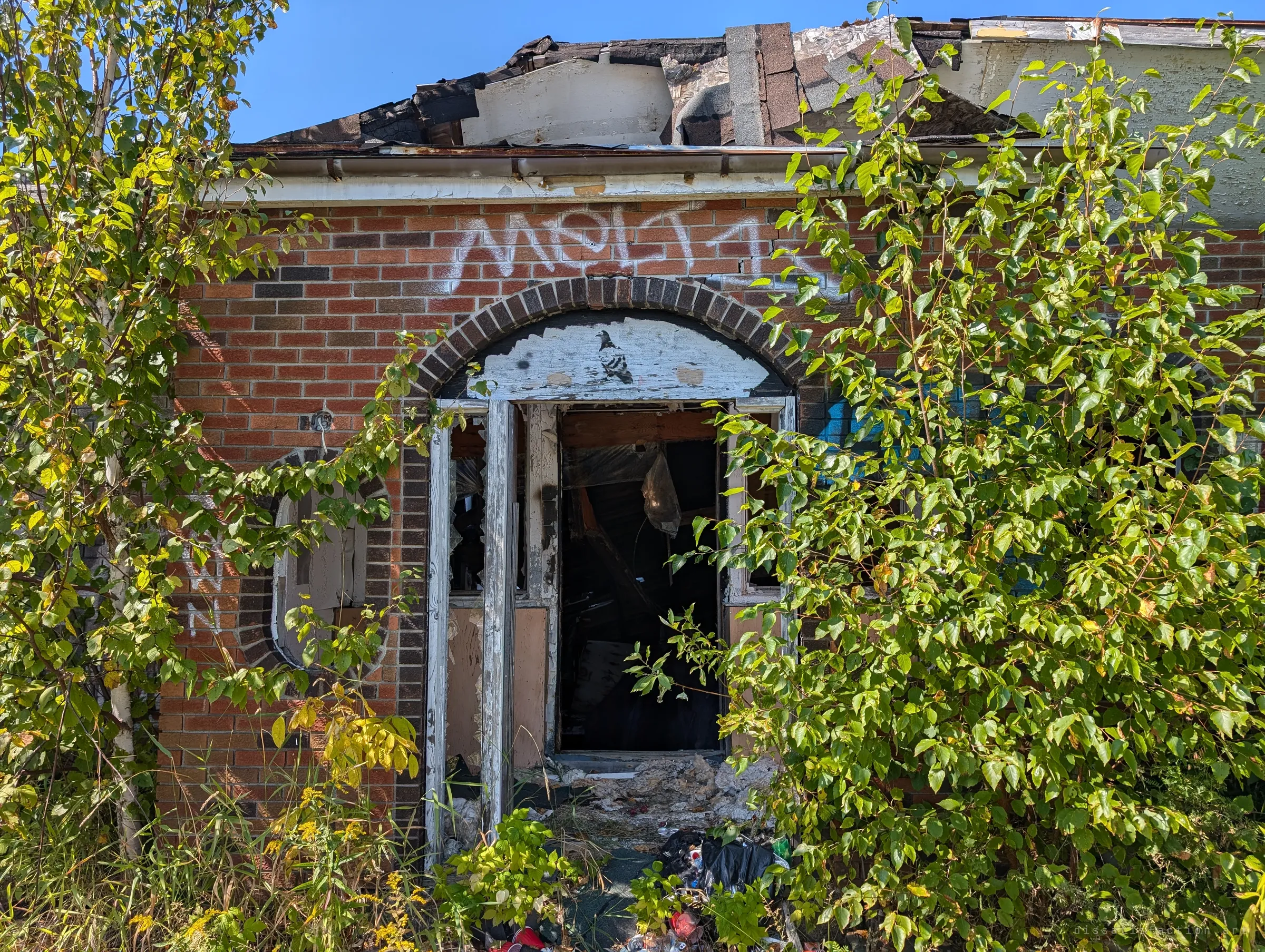 An arched brick entrance with its doors smashed out and debris piled at the threshold, the roof collapsing above and young trees closing in on both sides.
