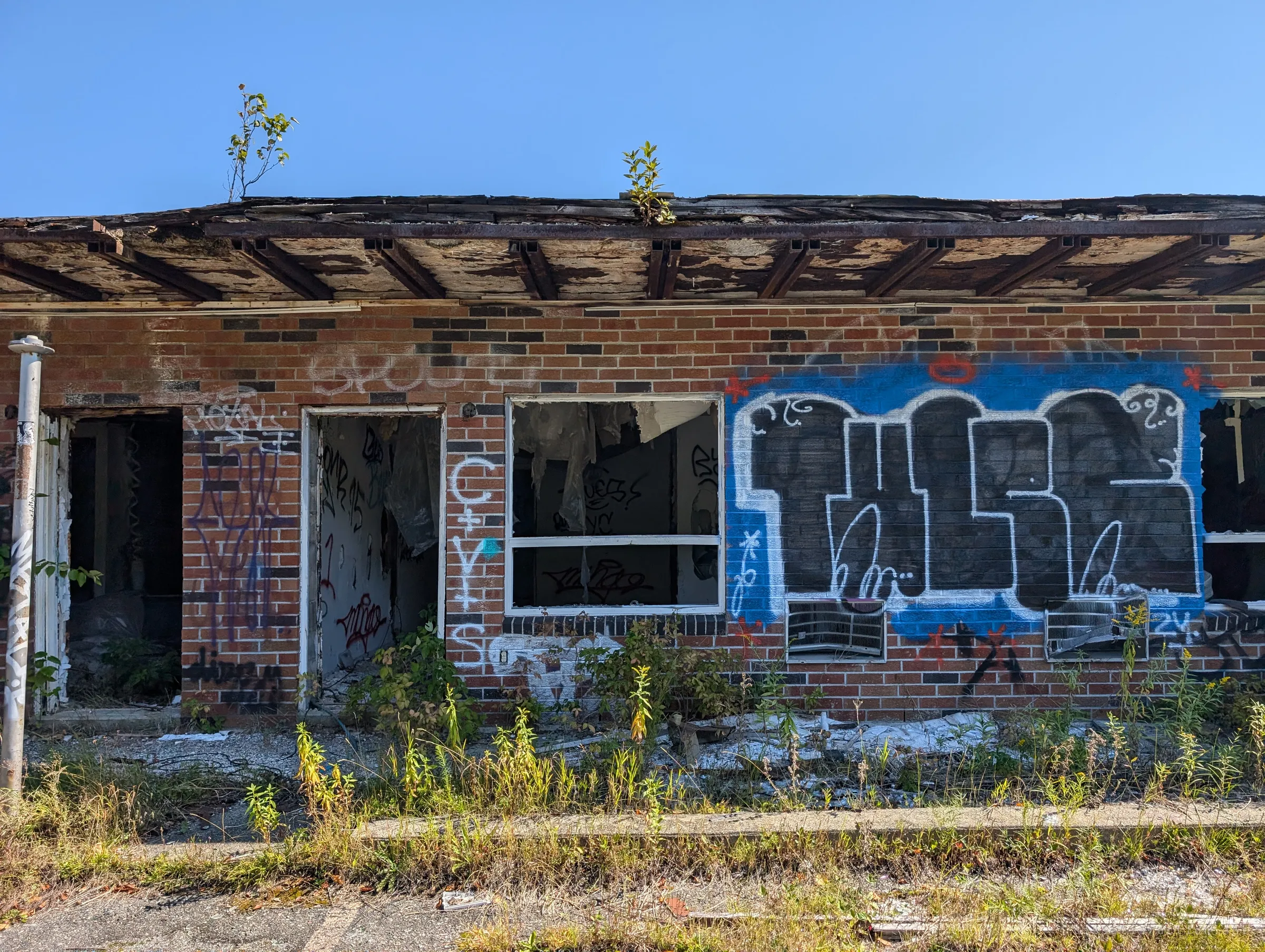 A single-storey row of brick units under a rotting canopy, doors and windows gone, with saplings growing out of the roof. Weeds push through the cracked walkway in front.