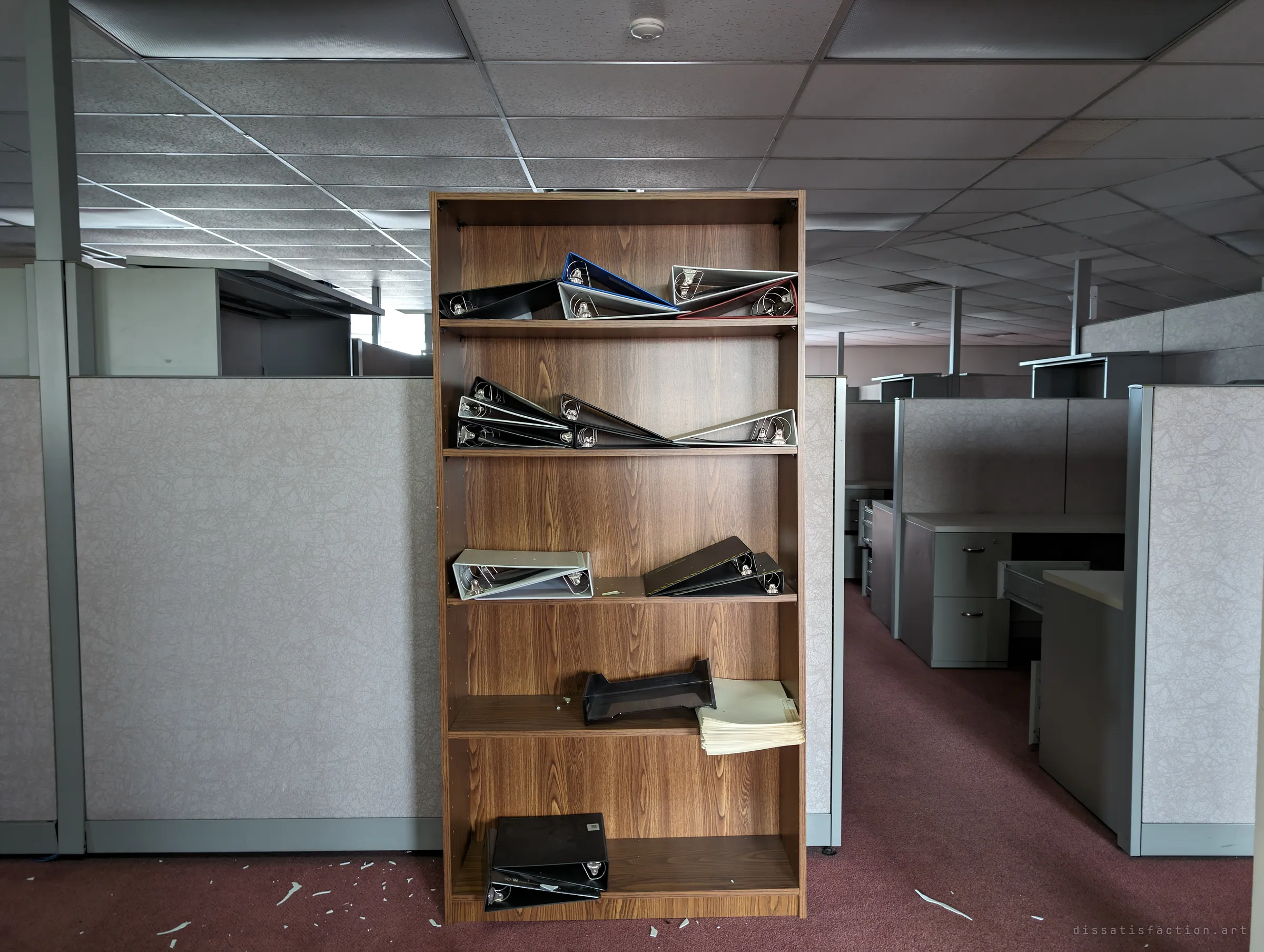A wood-grain bookcase stands between cubicle walls, its shelves holding a few slumped binders and a stack of paper. Rows of empty workstations run off under the drop ceiling behind it.