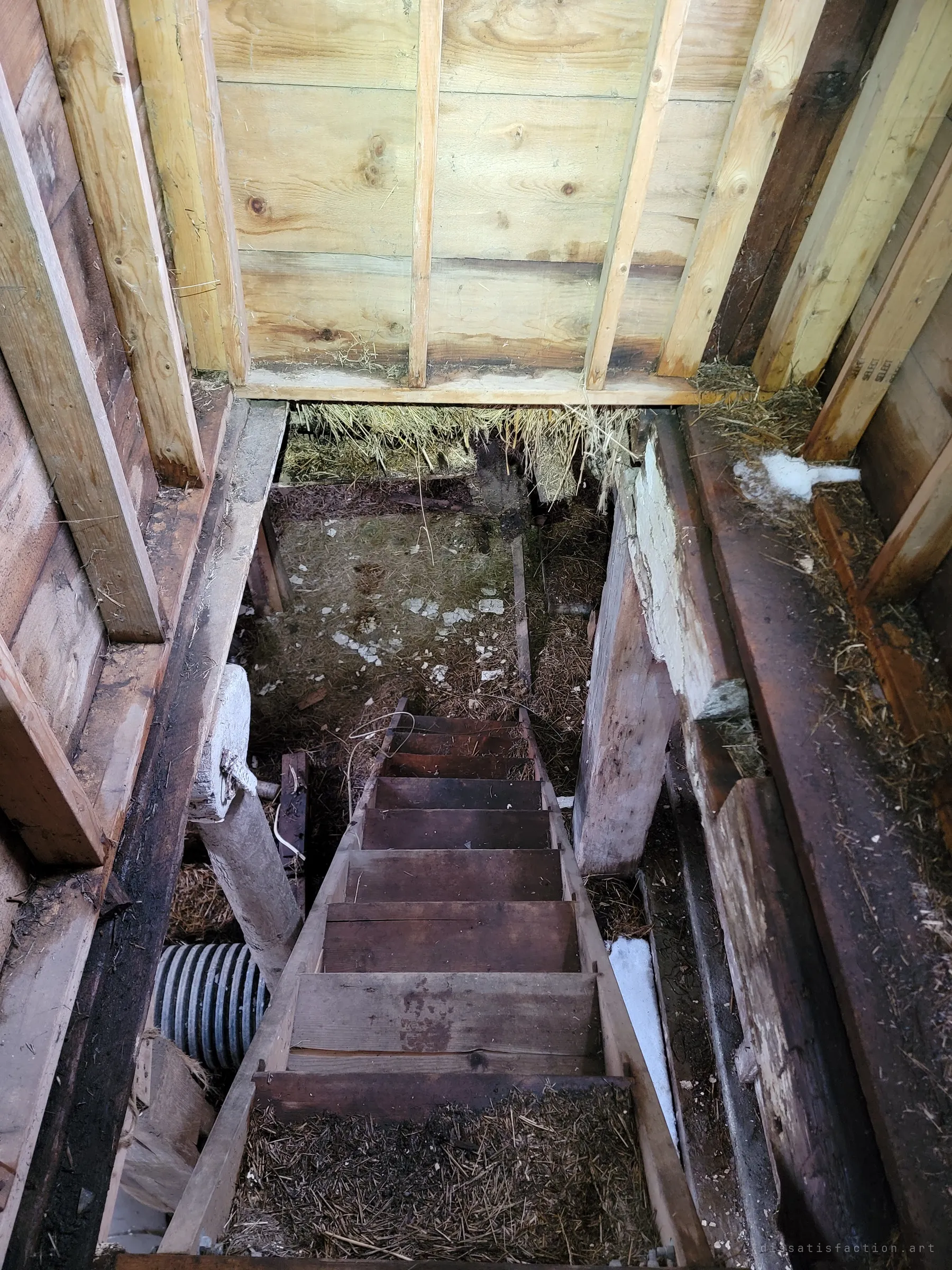 Looking straight down a steep wooden stair into a straw-strewn cellar, between raw timber framing. It is the one step this place warns about.