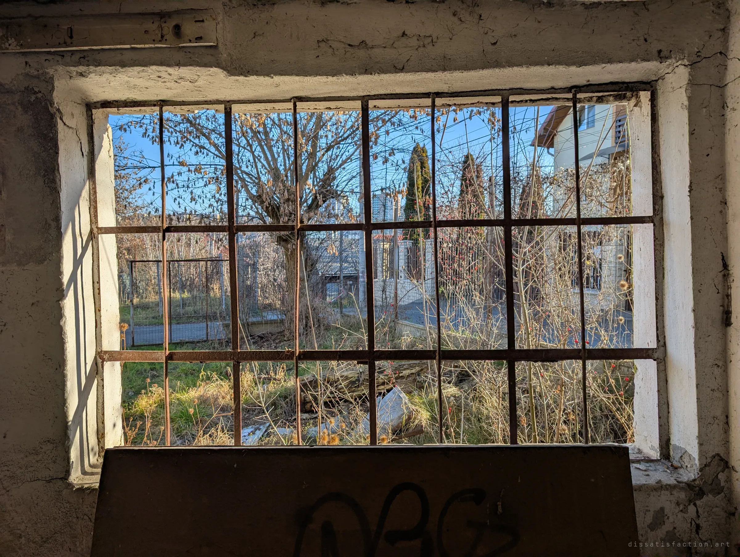 Looking out through a barred window past a tagged board to an overgrown yard and bare winter trees. The frame contrasts the dim interior with the bright world just outside.