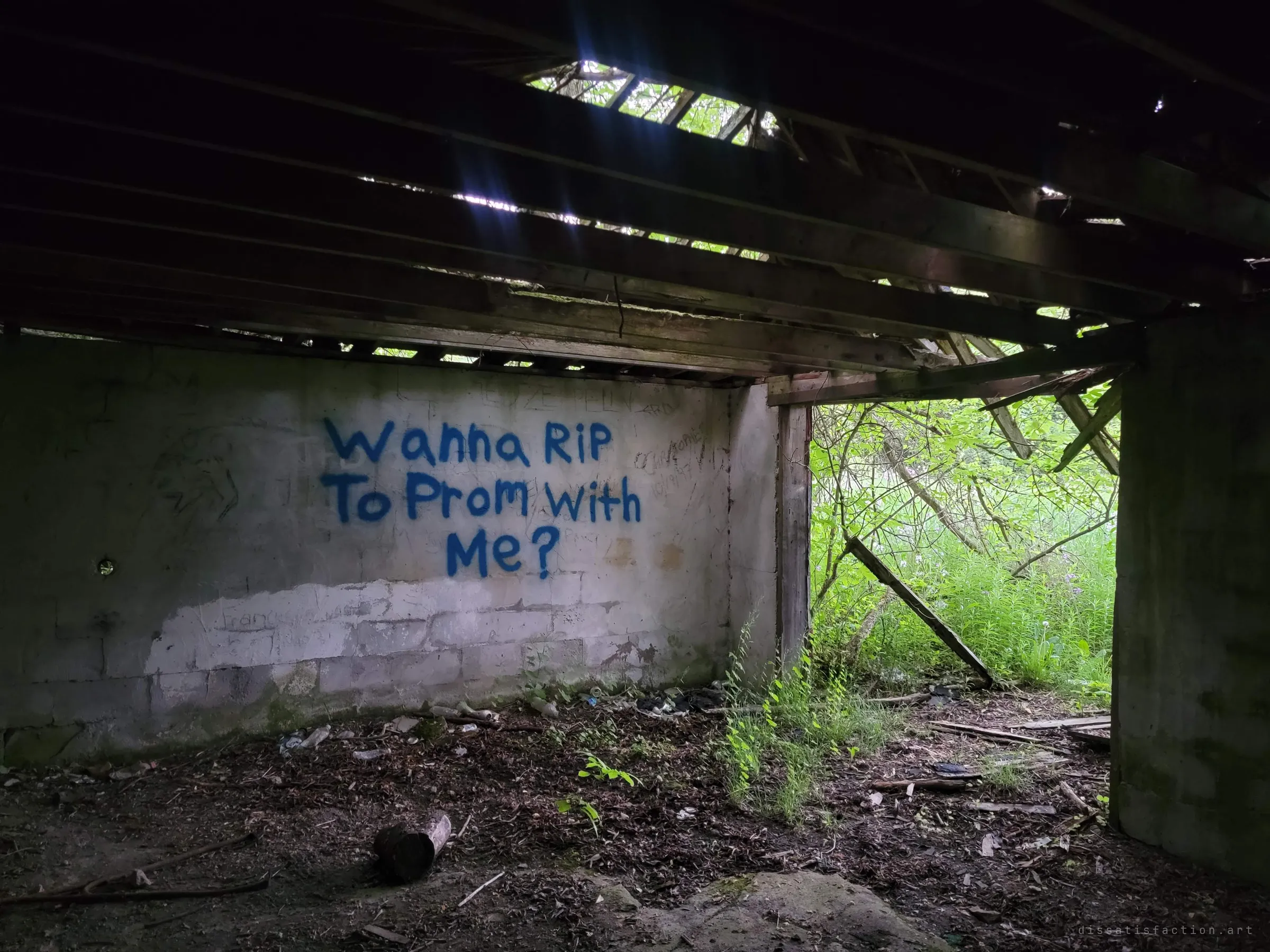Under a broken timber roof, blue spray paint on a whitewashed block wall asks "Wanna RIP to prom with me?", with bright green growth pouring in through the open side. The graffiti that gives the album its title.