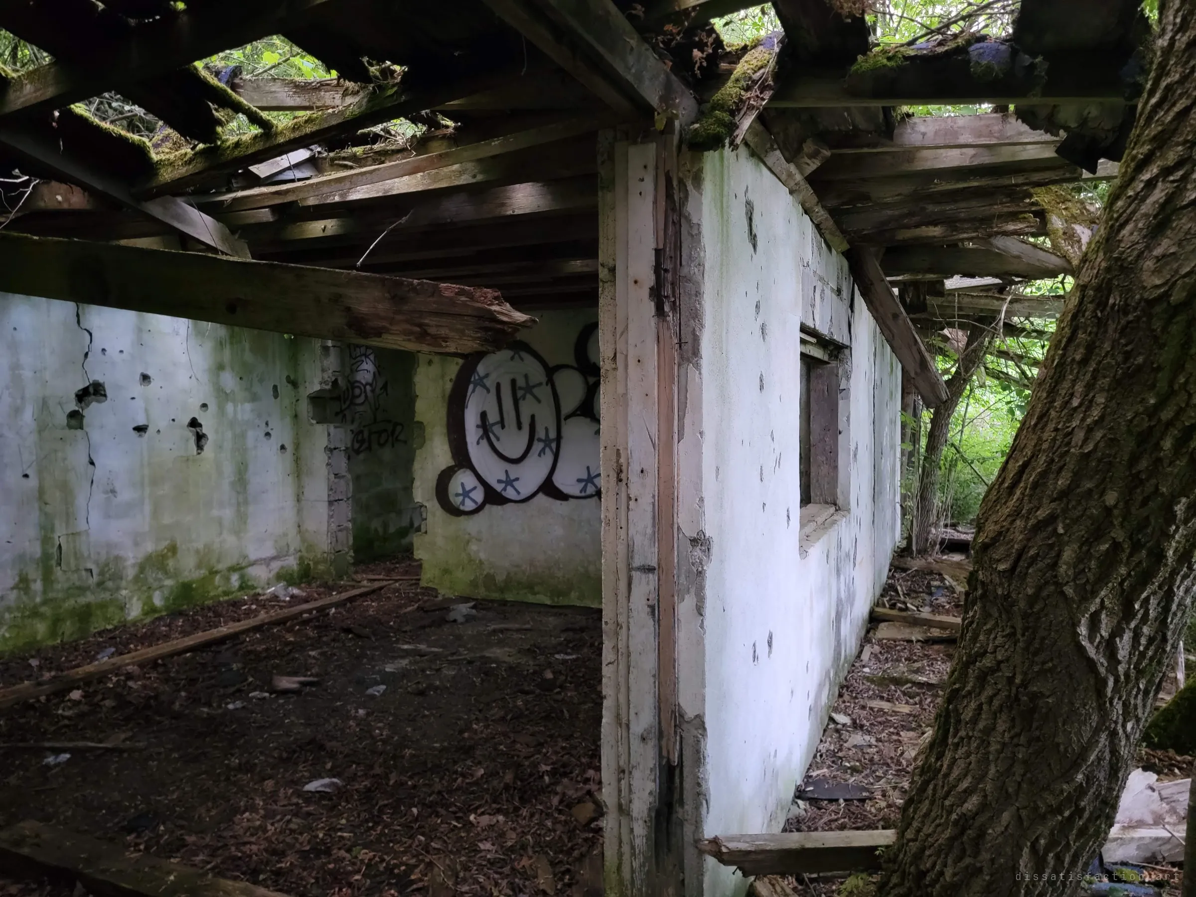 A roofless corridor of moss-stained white walls under rotting beams, a smiling bubble-letter piece visible through the doorway and a tree trunk pressing against the outside wall.