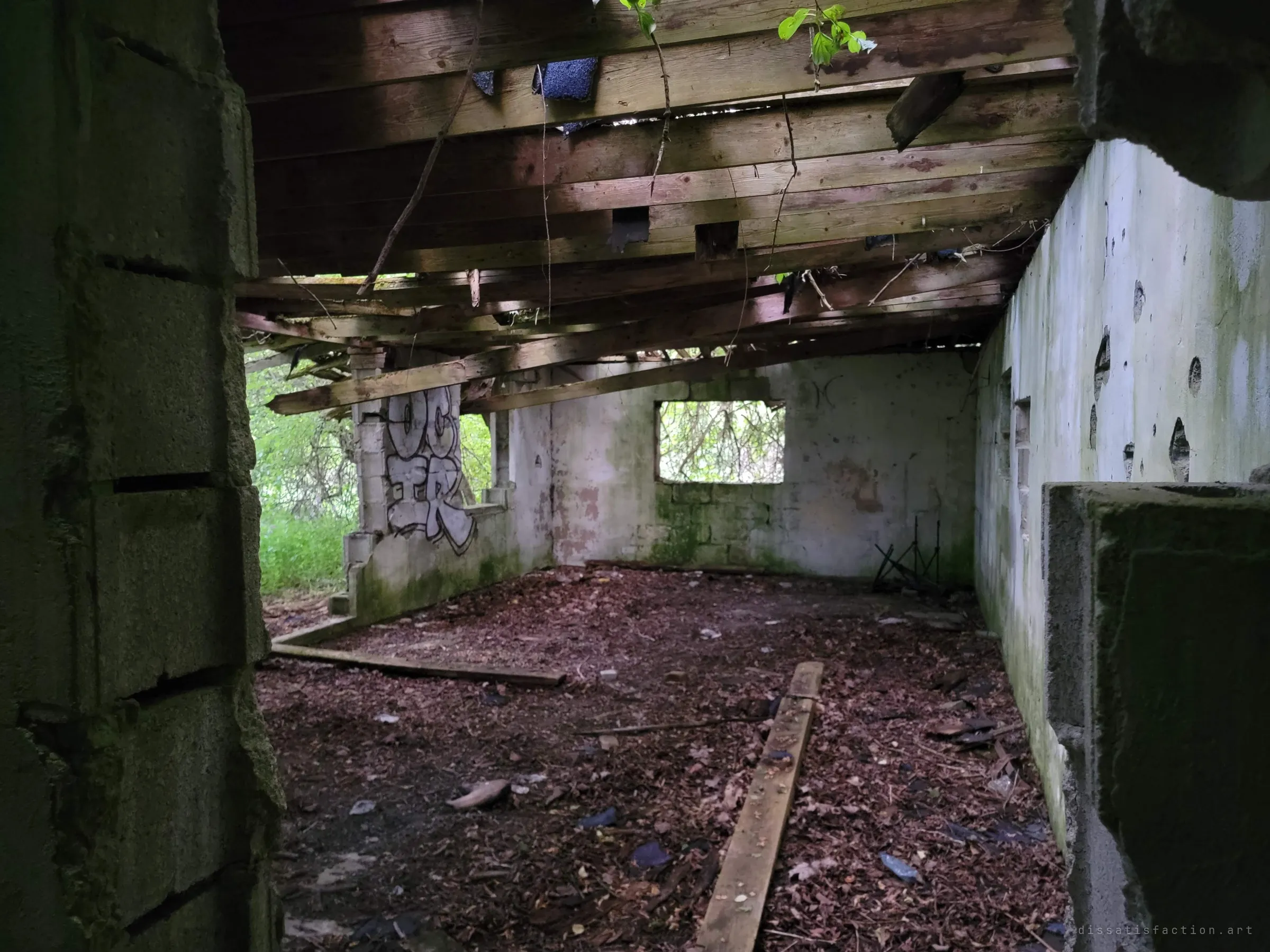 Looking through a crumbling block doorway into a leaf-covered room under a sagging plank ceiling, with a window framing nothing but foliage. Shows the full length of the ruin's main room.