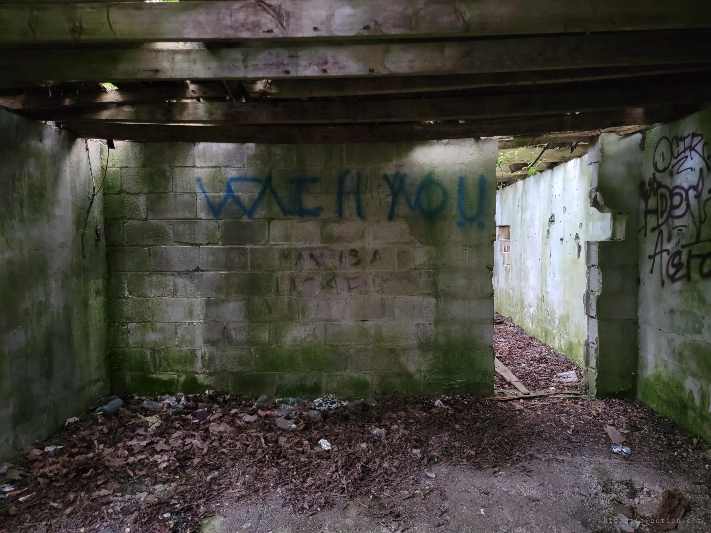 A cinder-block room with blue spray-painted words across the back wall and litter in the leaves, a narrow passage leading off to the right past more tags. Source file carries GPS, which the pipeline strips.