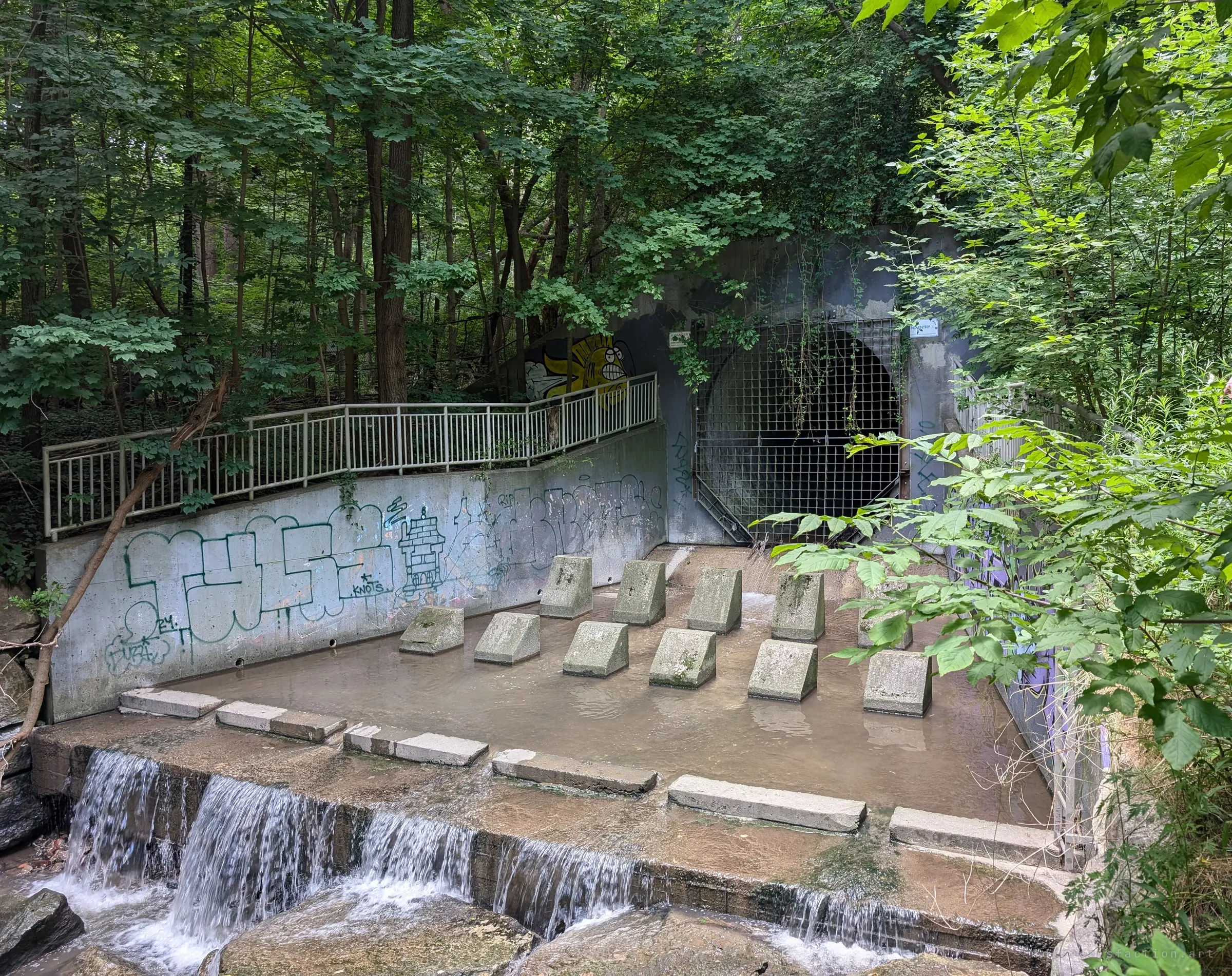 A gated concrete storm-drain outfall hidden in green woods, with graffiti-covered walls, rows of concrete baffle blocks and water spilling over a low weir. It is the way in, the mouth of the drain before the dark.