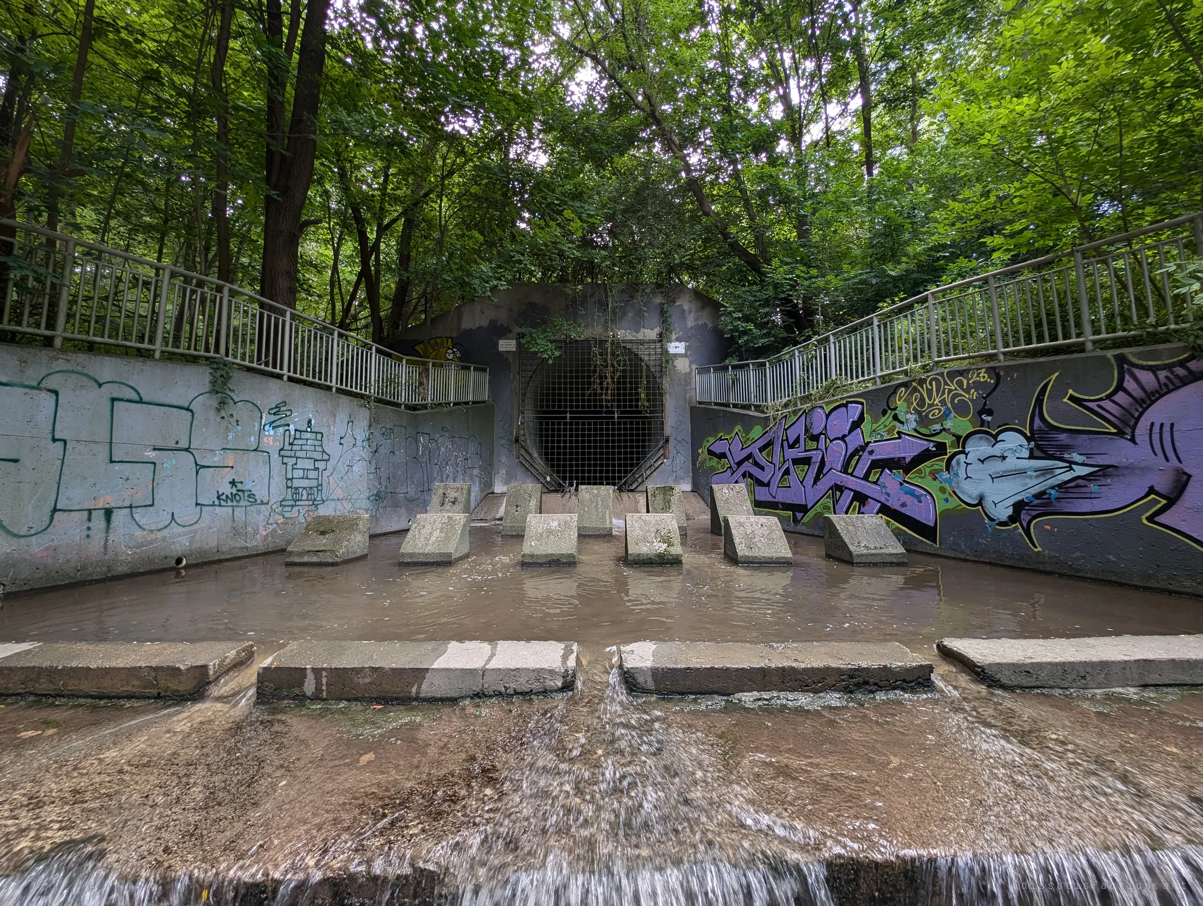 Low, head-on view of the outfall basin: water sheets over the weir toward the camera, baffle blocks stand in the pool and a round barred portal waits between graffiti walls under a canopy of trees.
