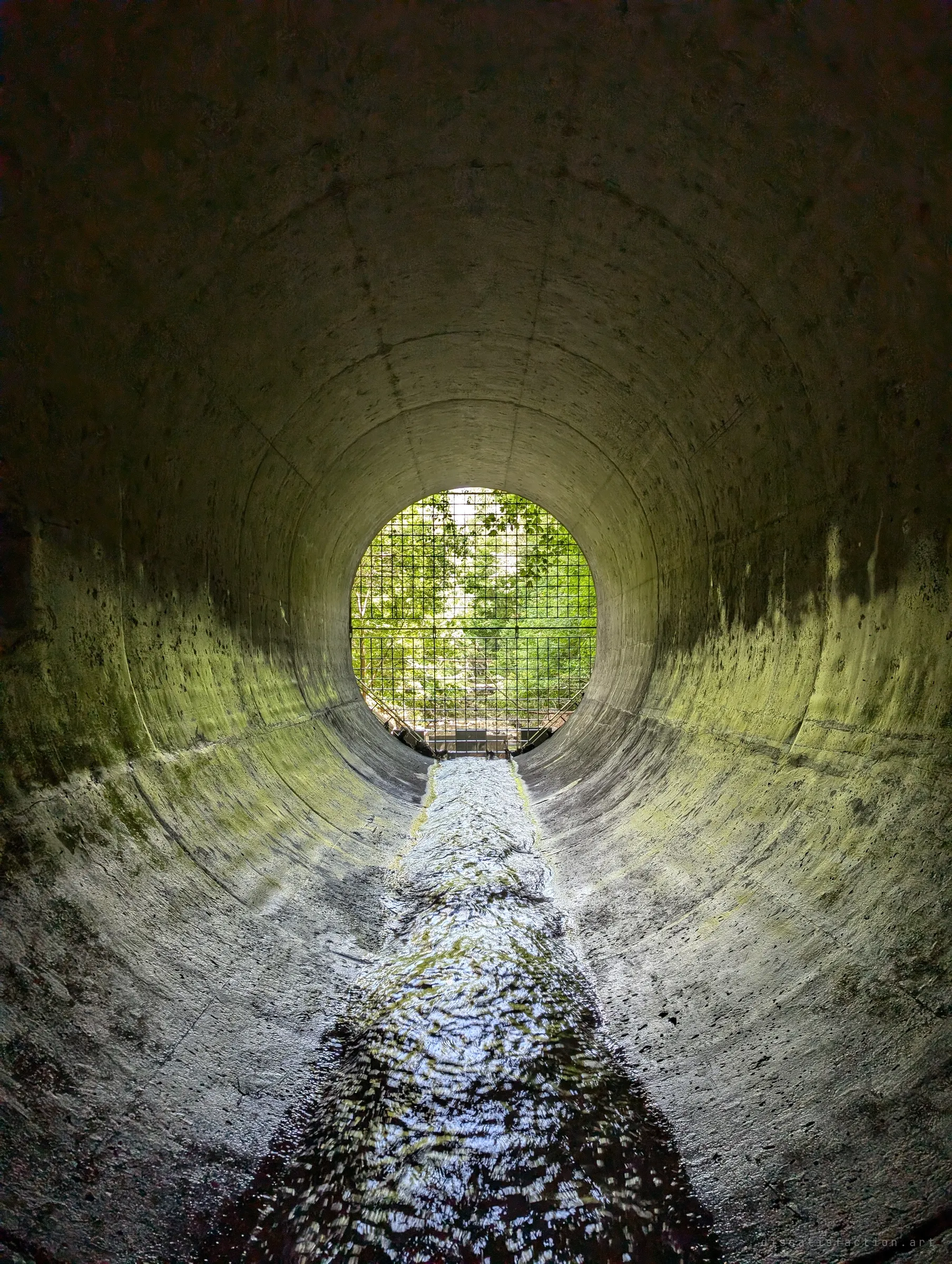 Looking back out through a round concrete pipe, its walls stained green with algae, a thin stream running down the invert toward a grated opening full of daylight and leaves.