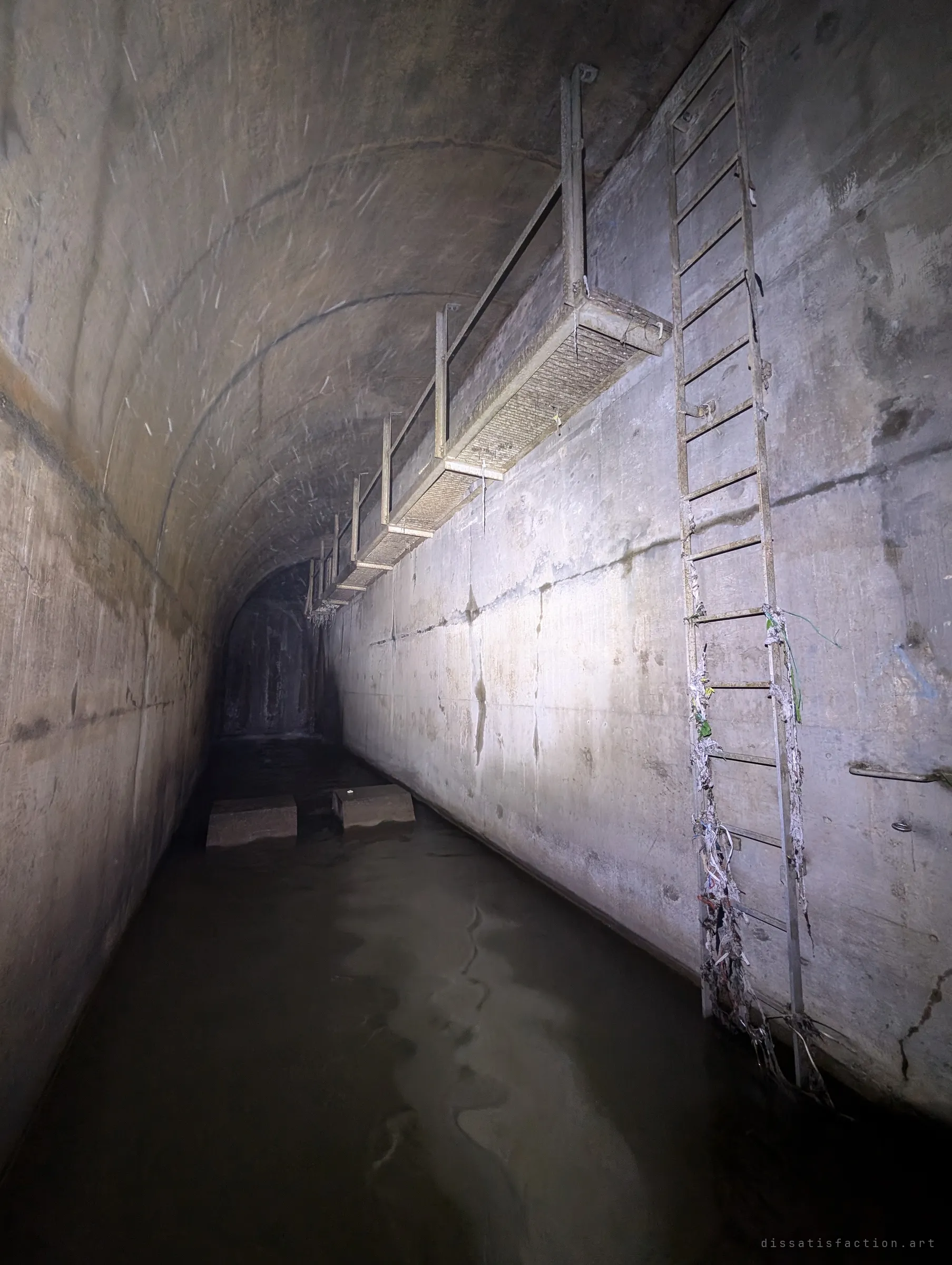 A long arched concrete tunnel lit by flashlight, a suspended grated catwalk running along the right wall beside a ladder draped in debris, specks of mist hanging in the air.